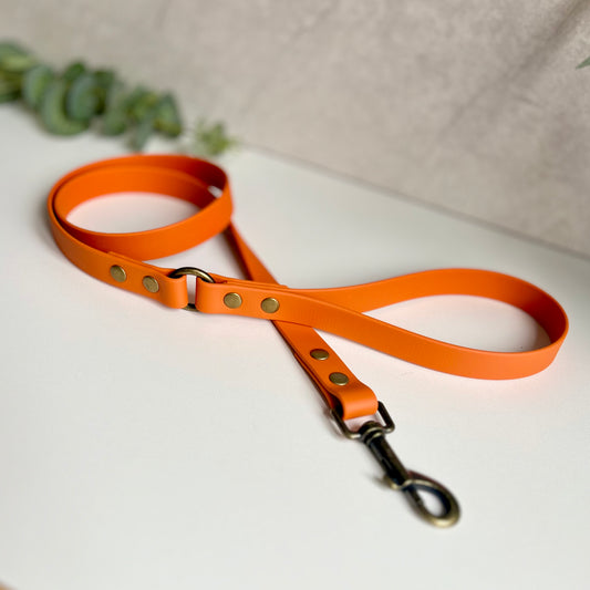 Orange dog lead with antique brass hardware on a white background