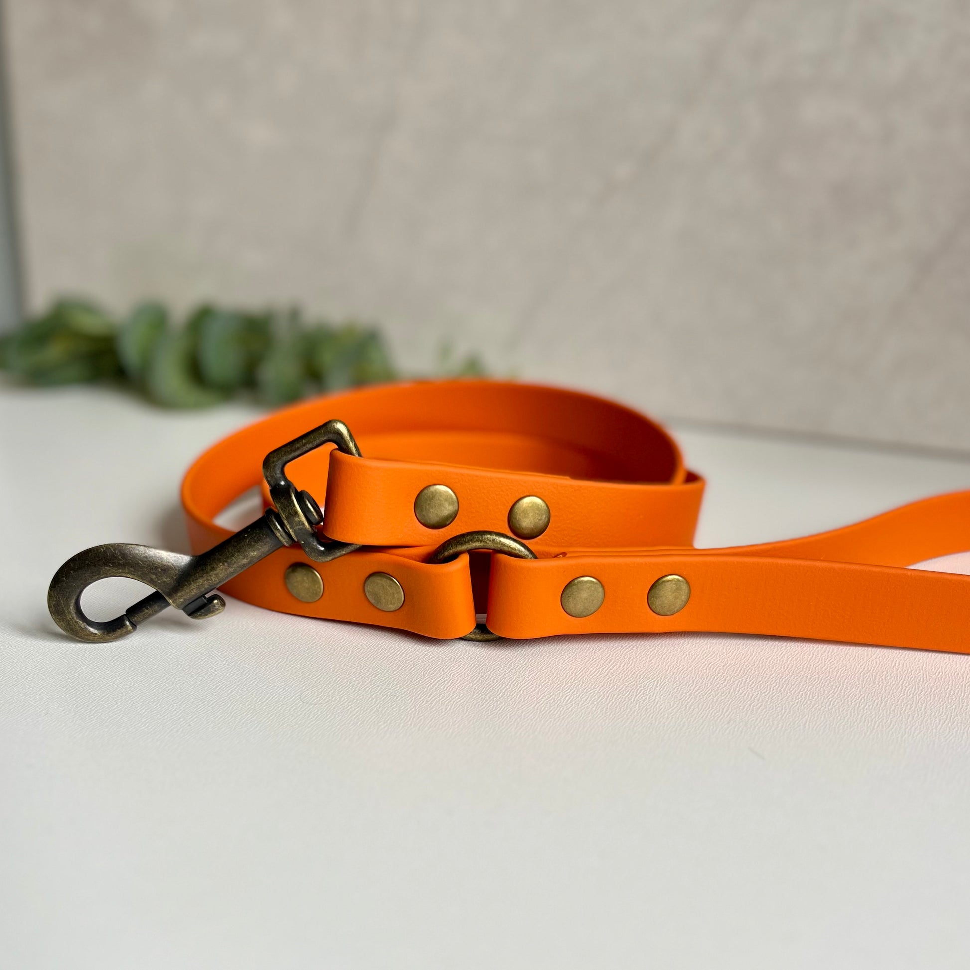 Orange dog lead with antique brass hardware on a white background