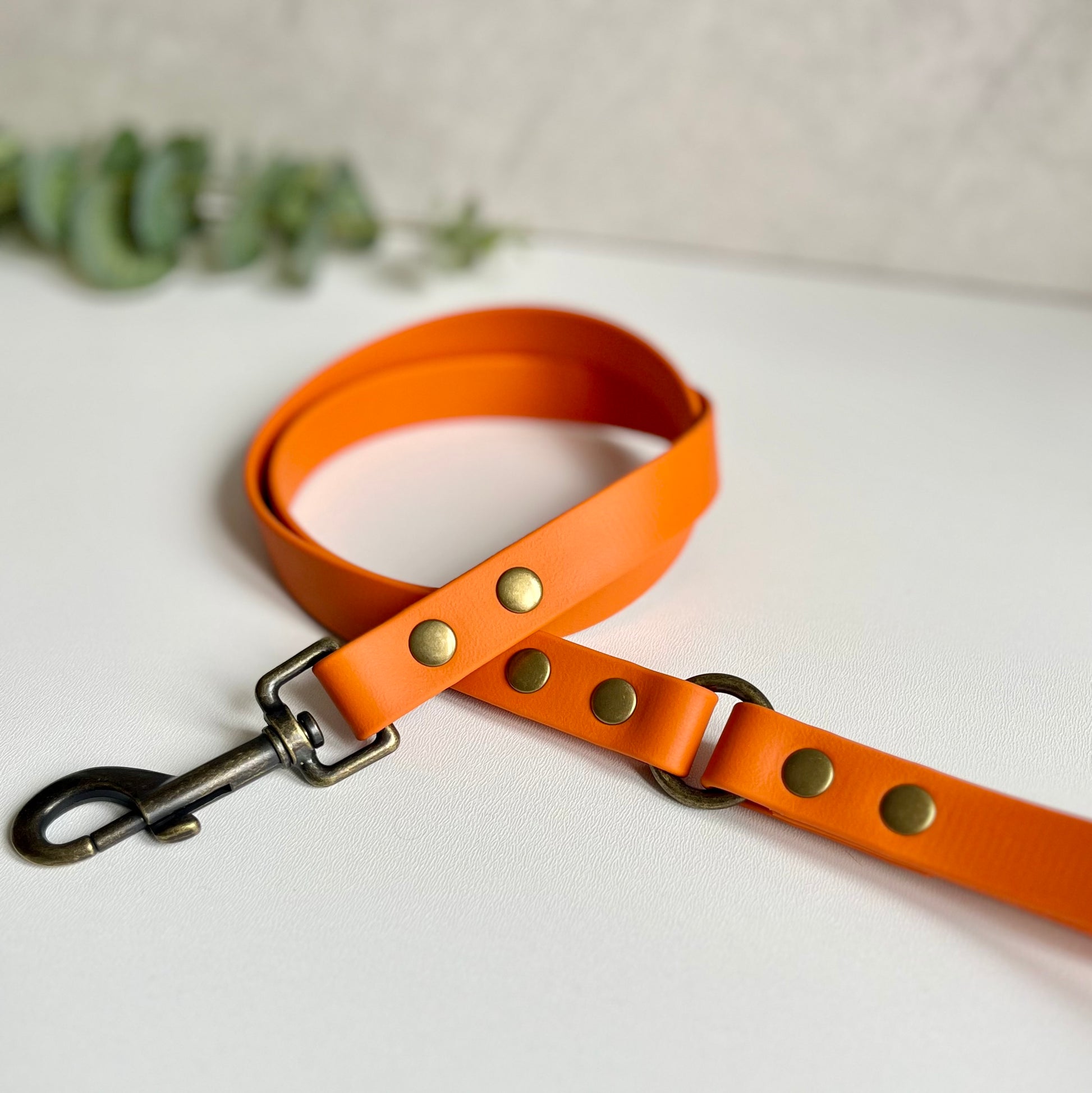 Orange dog lead with antique brass hardware on a white background