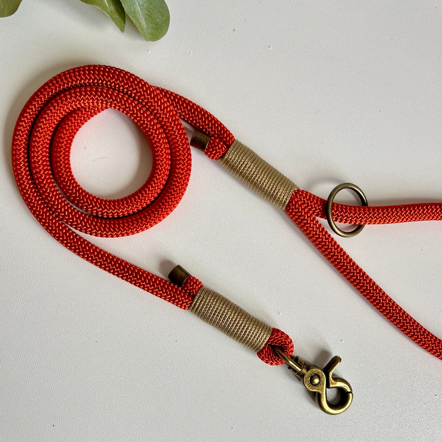 Orange rope dog lead with antique brass hardware on a white surface with leaves in the background
