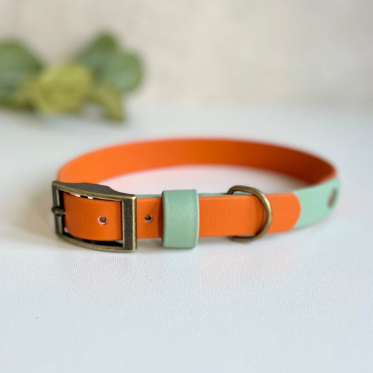 Two-tone orange and light green dog collar with brass buckle on a white background