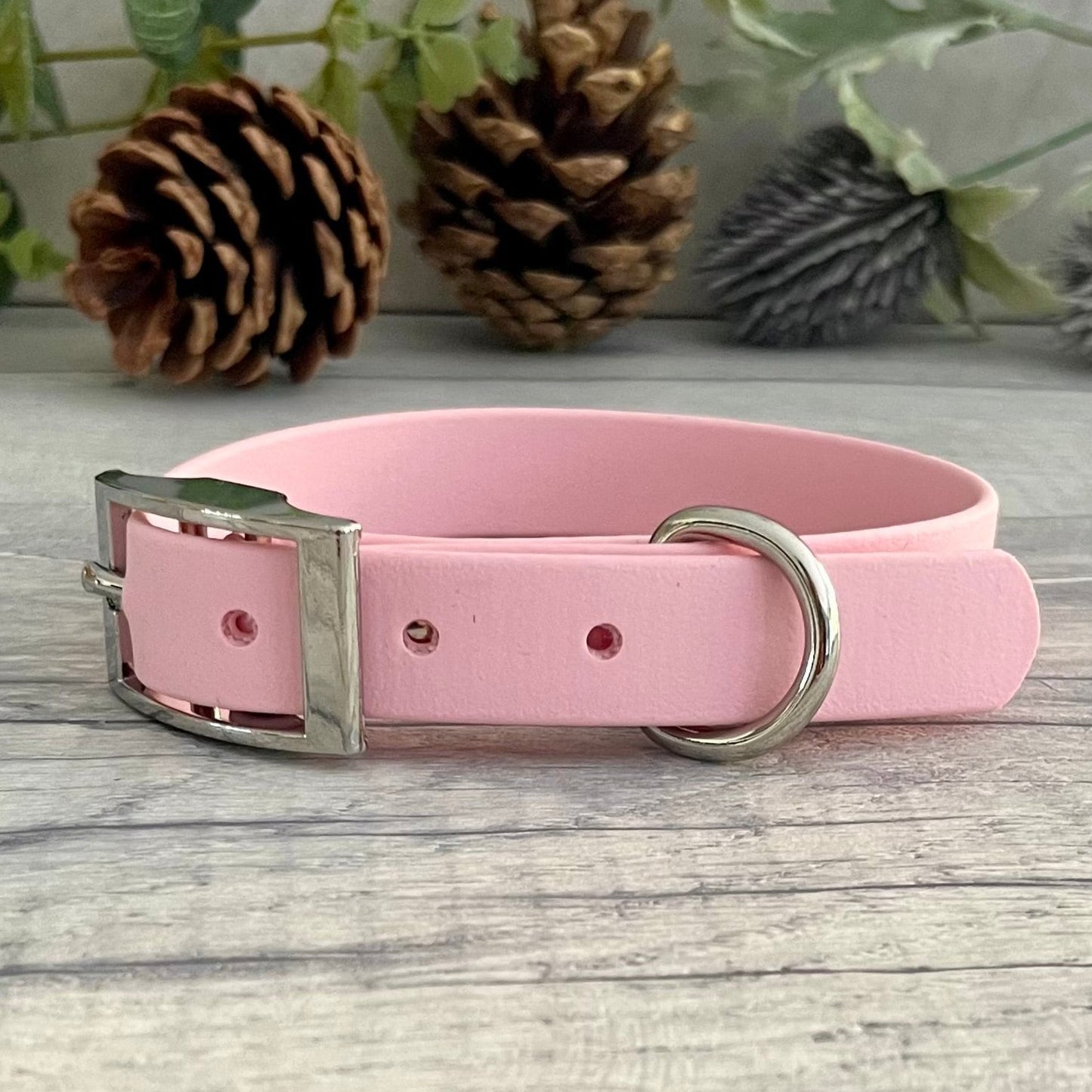 Pink collar with Silver buckle and D-ring. The collar is fastened and has 5 punched holes spaced 2cm apart