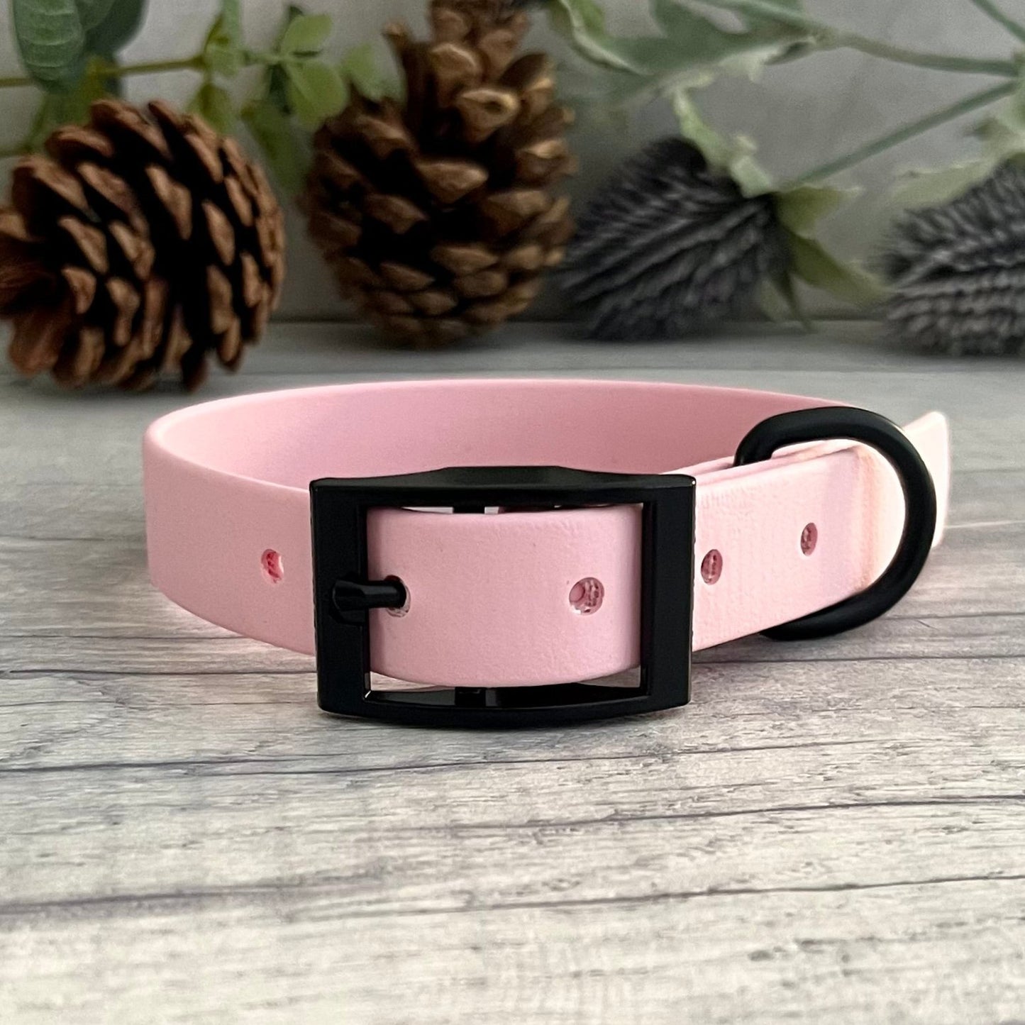 Pink collar with Black buckle and D-ring. The collar is fastened and has 5 punched holes spaced 2cm apart