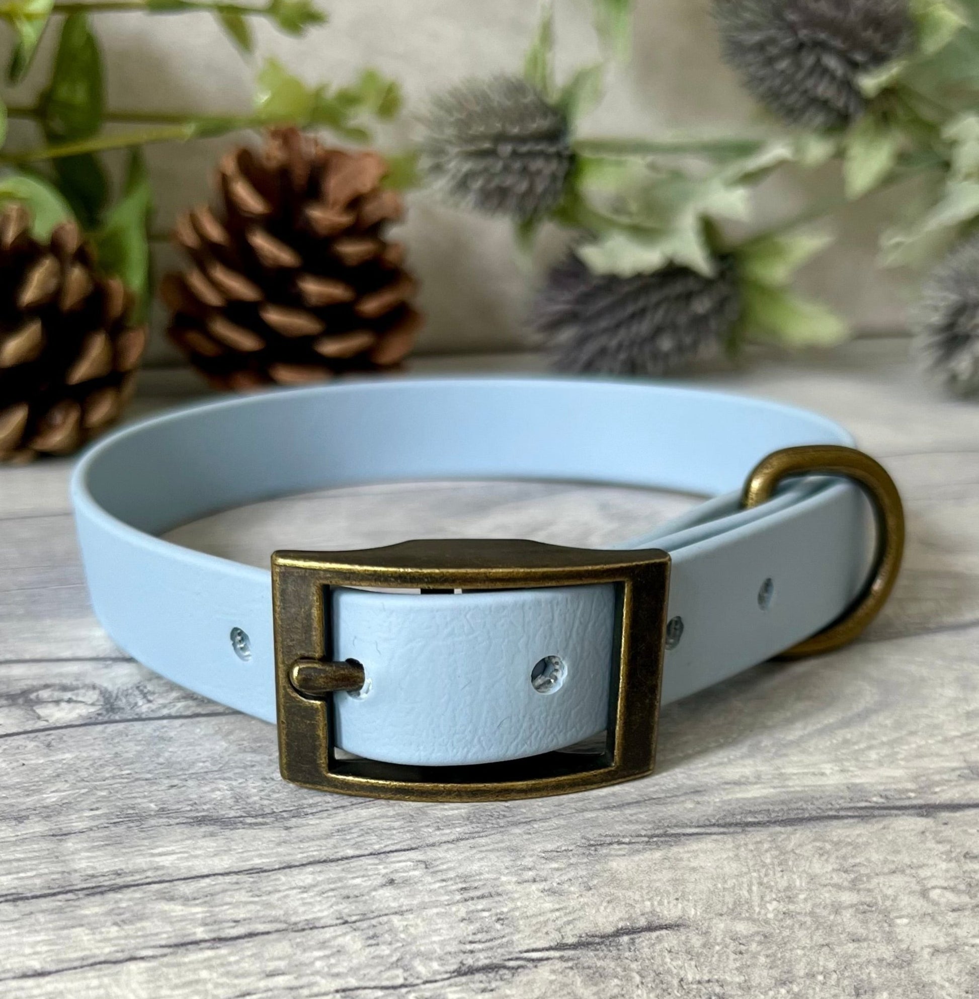 Pastel Blue Biothane dog collar with Antique Brass hardware. The collar is fastened with a buckle and has a d-ring. There are 5 punched holes spaced 2cm apart.