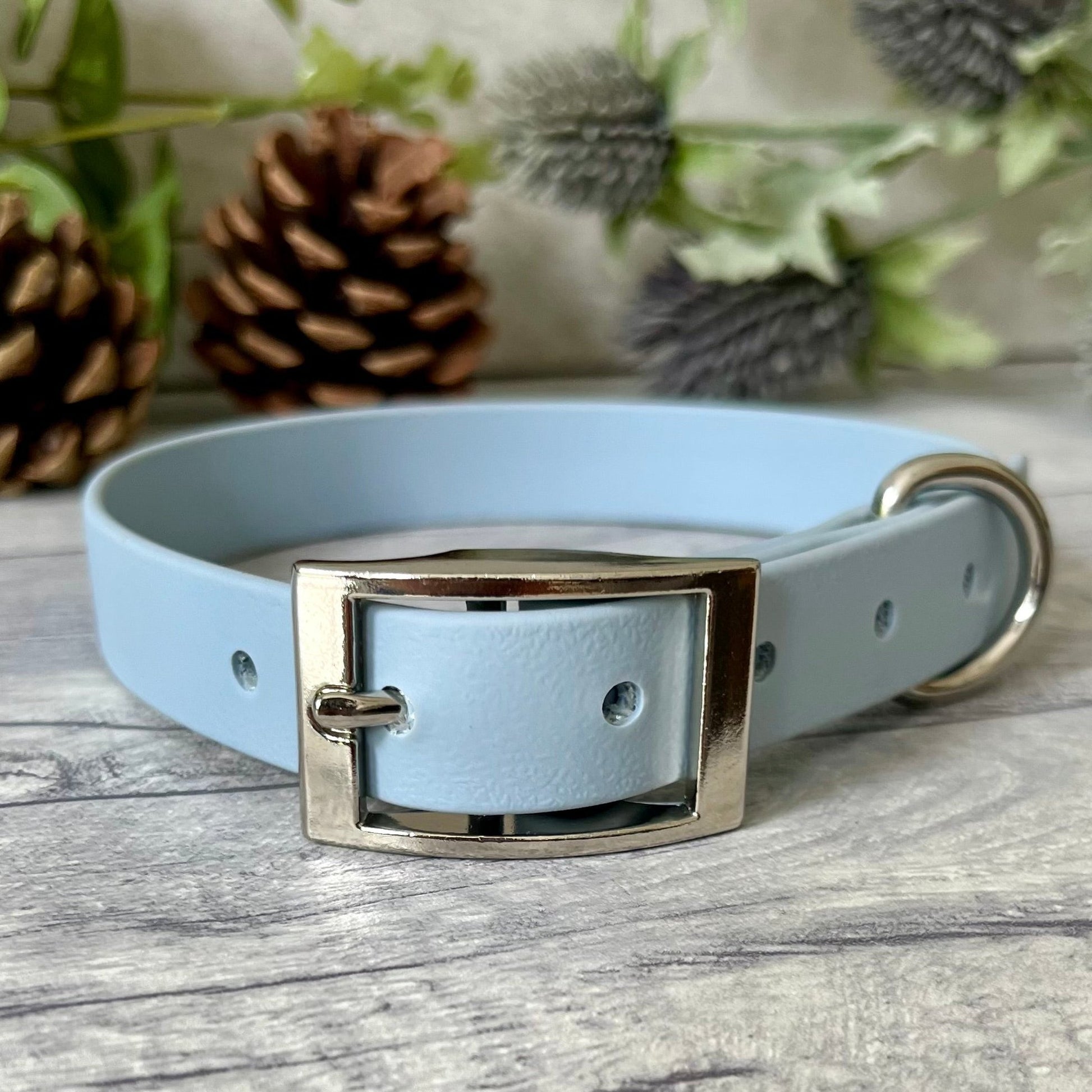 Pastel Blue Biothane dog collar with Silver hardware. The collar is fastened with a buckle and has a d-ring. There are 5 punched holes spaced 2cm apart.