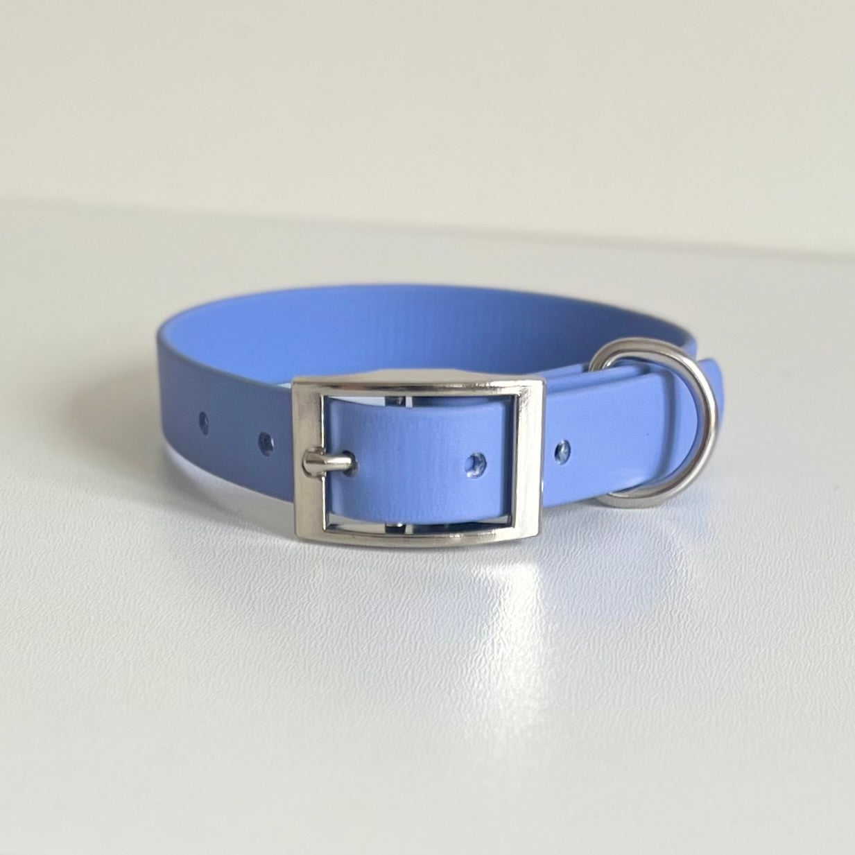 Periwinkle Biothane collar with silver hardware
