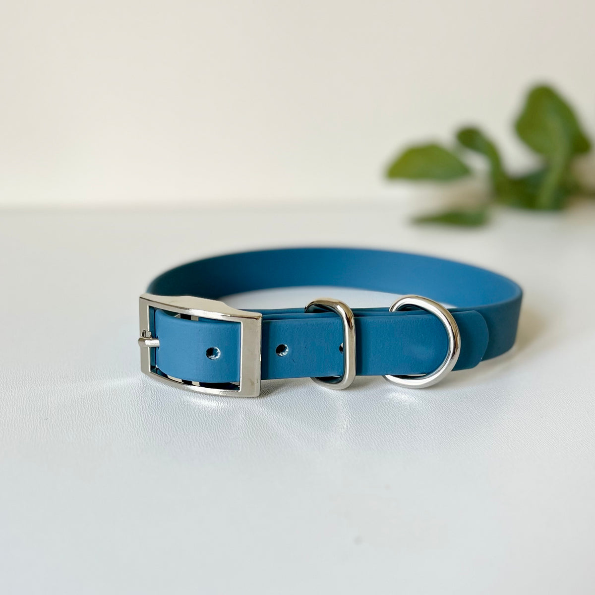 A blue Biothane dog collar with silver hardware sitting on a white surface