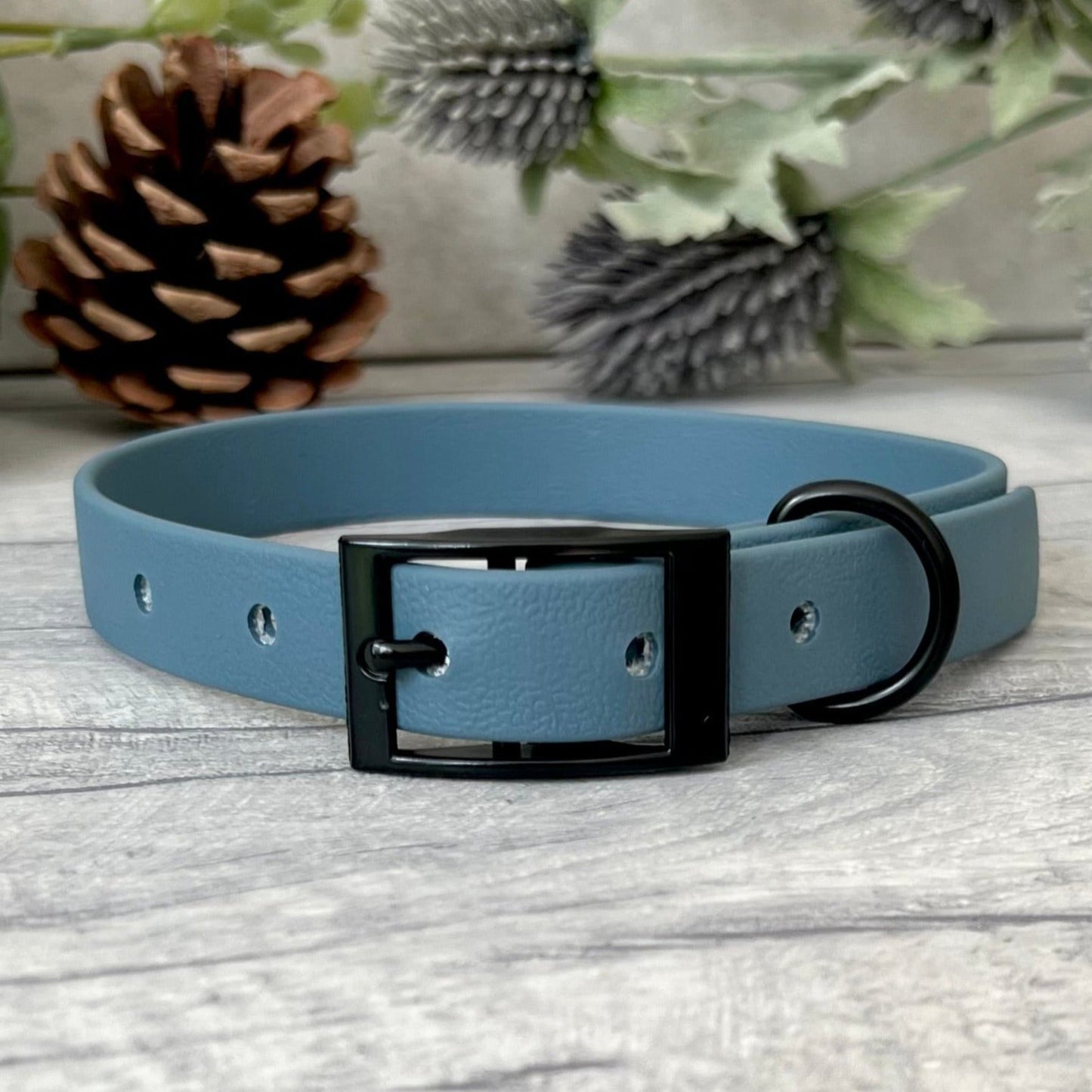 Petrol Blue Biothane dog collar with Black hardware. The collar is fastened with a buckle and has a d-ring. There are 5 punched holes spaced 2cm apart.