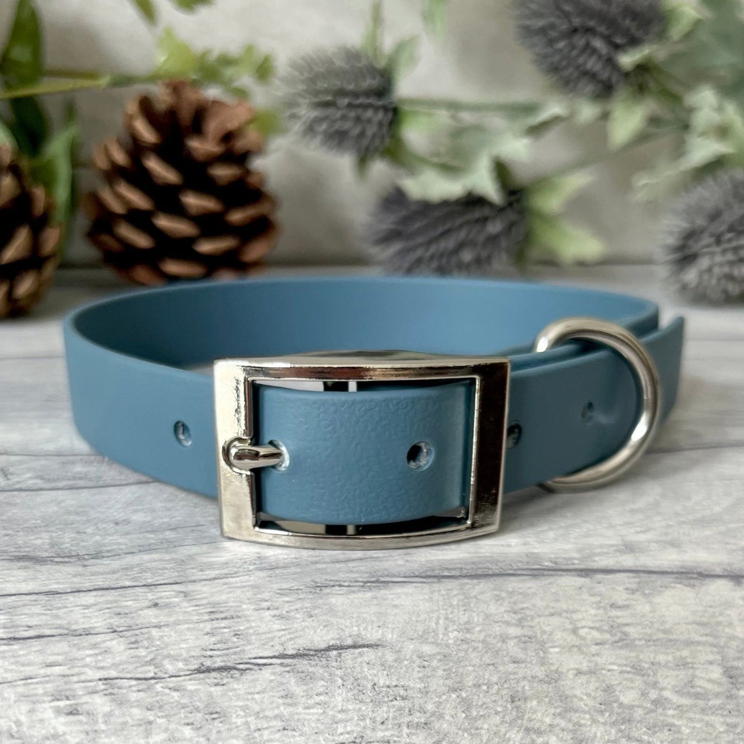 Petrol Blue Biothane dog collar with Silver hardware. The collar is fastened with a buckle and has a d-ring. There are 5 punched holes spaced 2cm apart.