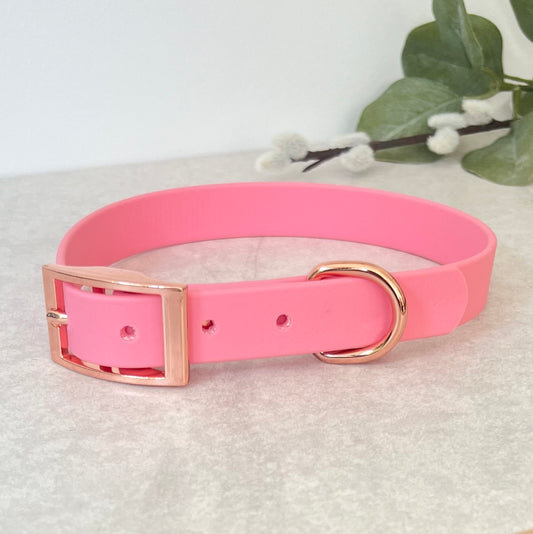 PInk Biothane dog collar with Rose Gold hardware. The collar is fastened with a buckle and has a d-ring. There are 5 punched holes spaced 2cm apart.