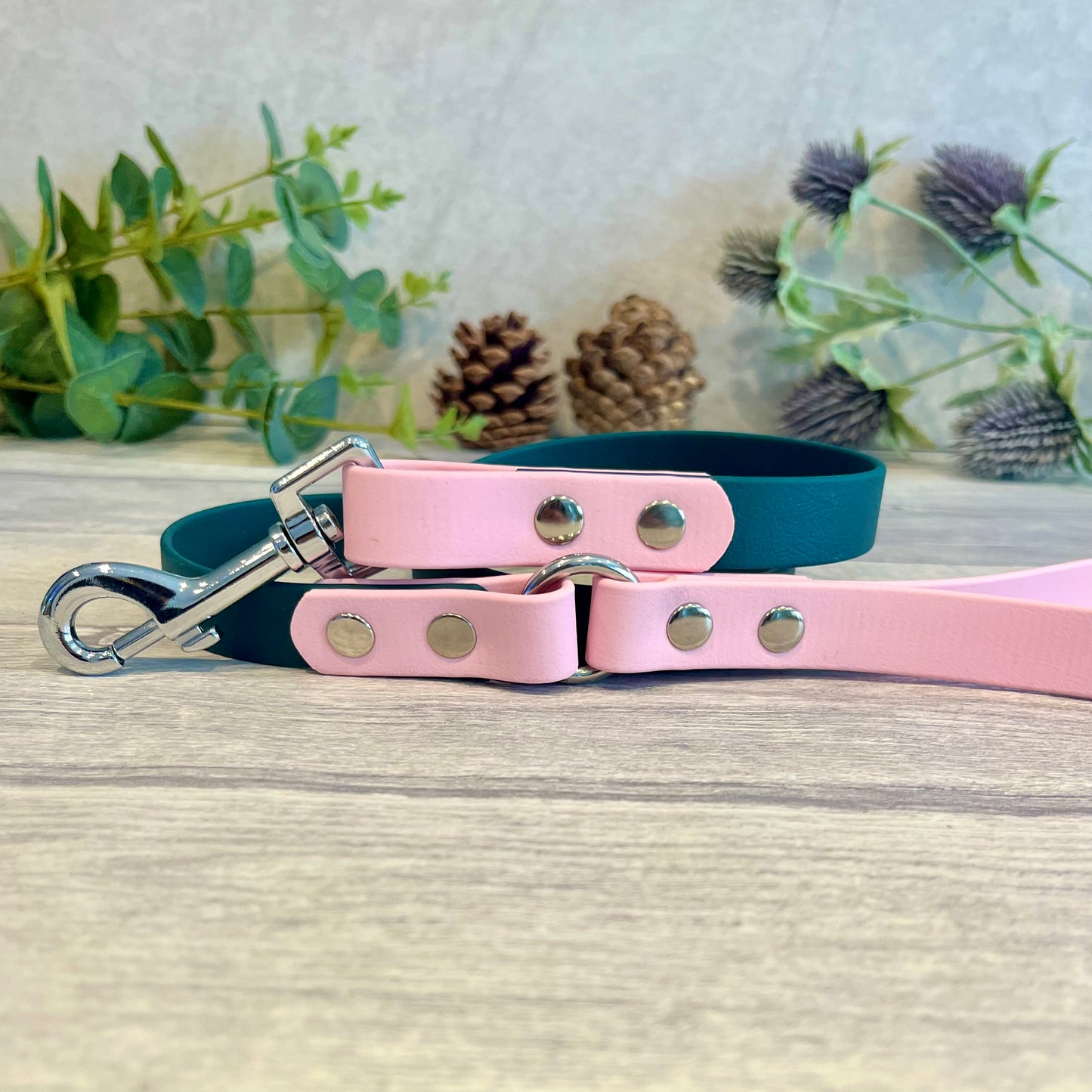 Dark Green & Light Pink Two Tone BioThane® Dog Lead