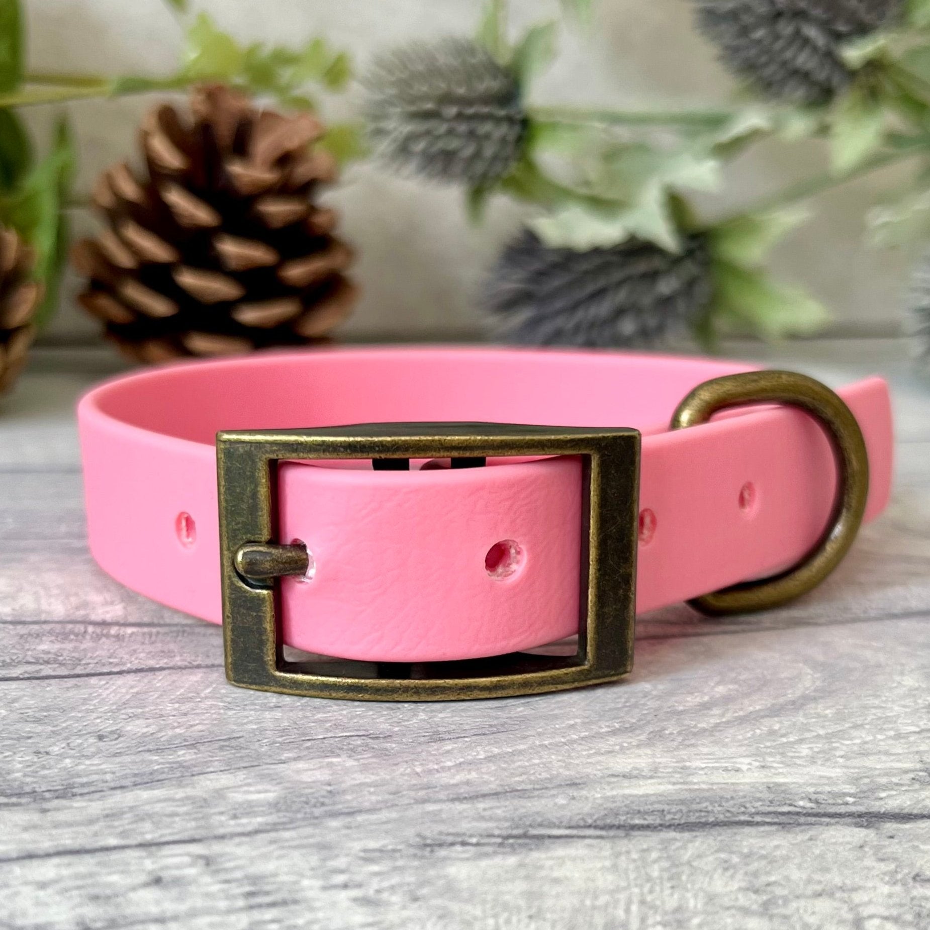 PInk Biothane dog collar with Antique Brass hardware. The collar is fastened with a buckle and has a d-ring. There are 5 punched holes spaced 2cm apart.