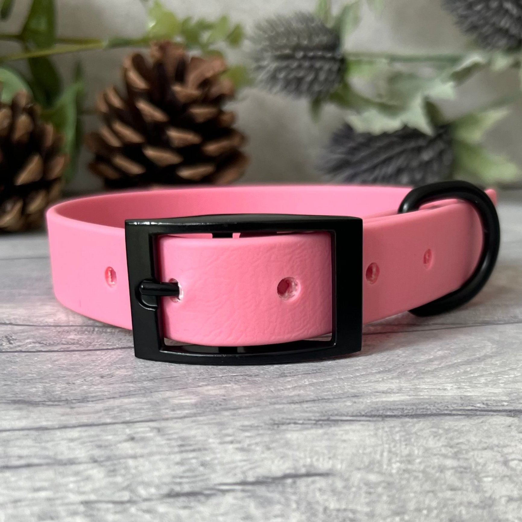 Pink Biothane dog collar with Black hardware. The collar is fastened with a buckle and has a d-ring. There are 5 punched holes spaced 2cm apart.