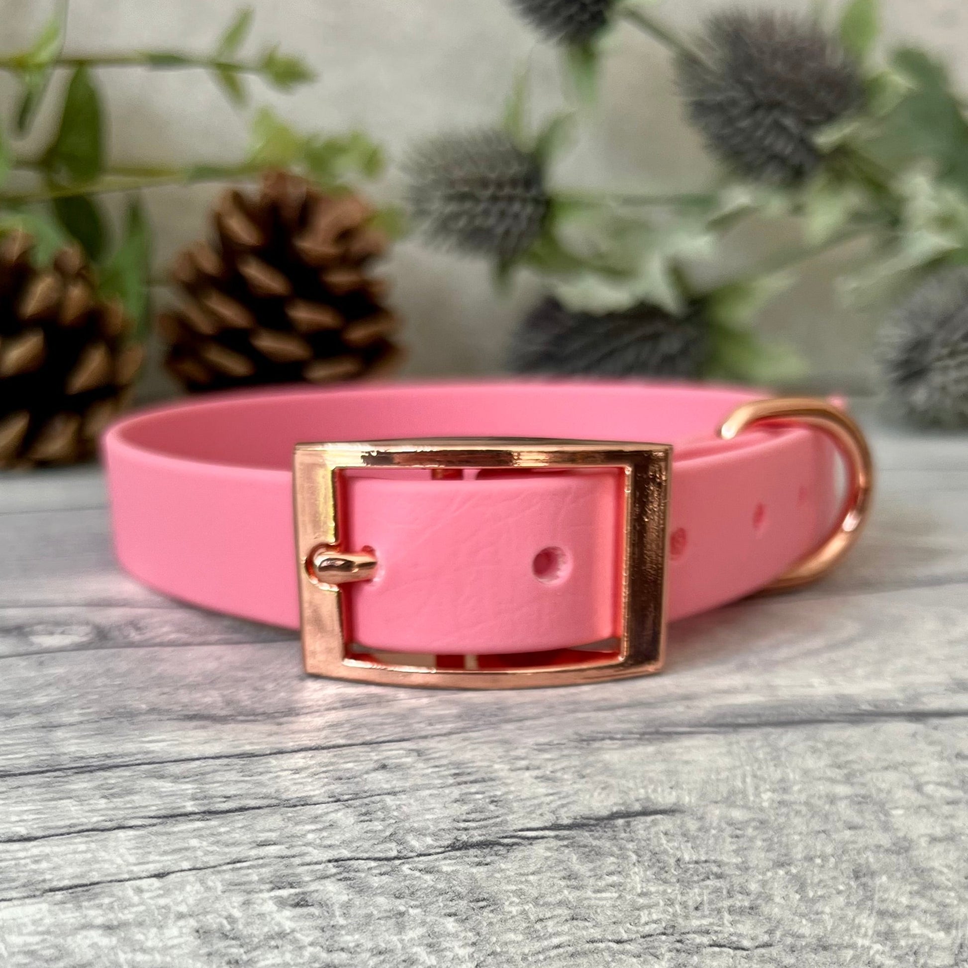 PInk Biothane dog collar with Rose Gold hardware. The collar is fastened with a buckle and has a d-ring. There are 5 punched holes spaced 2cm apart.