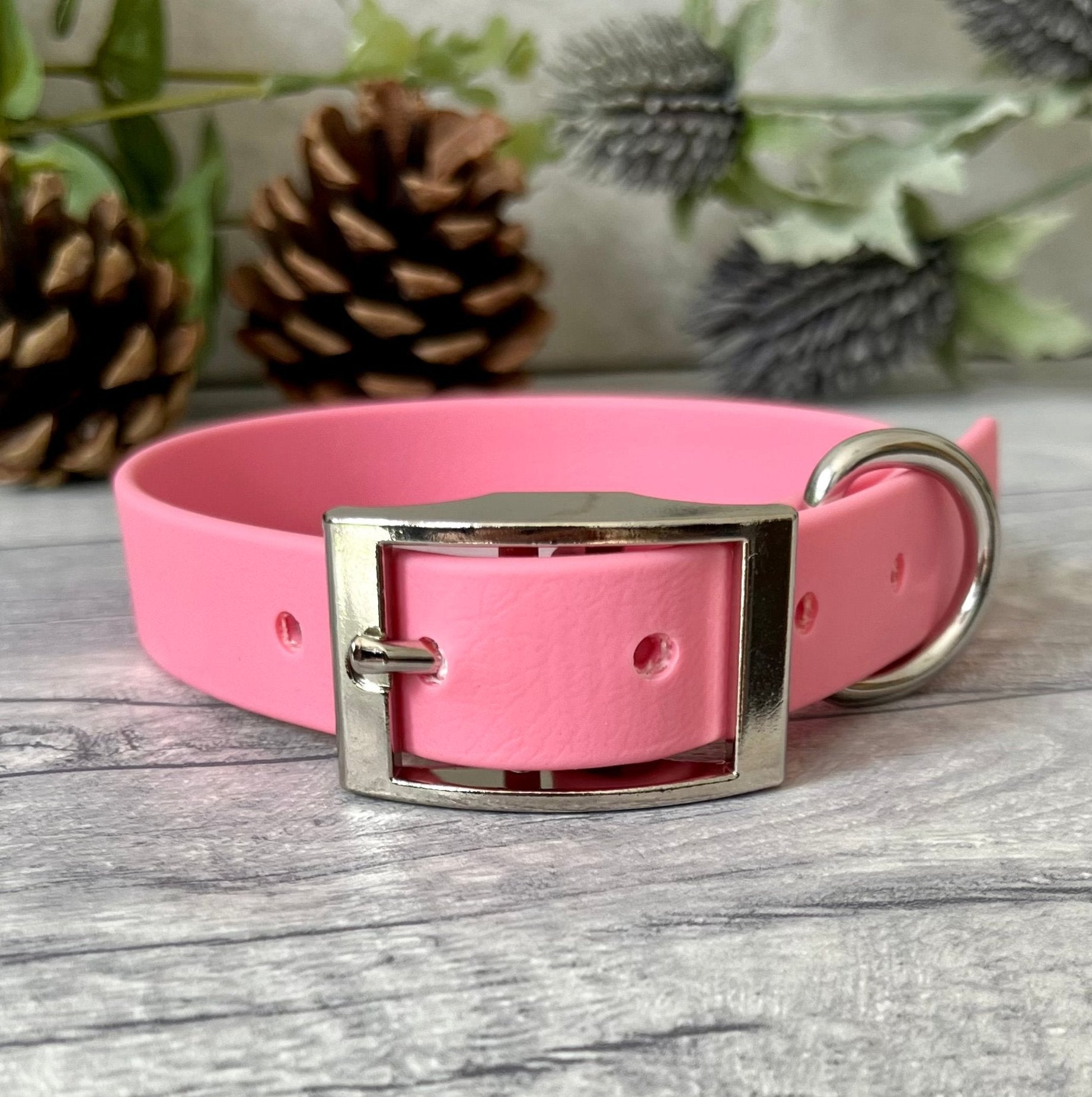 Pink Biothane dog collar with Silver hardware. The collar is fastened with a buckle and has a d-ring. There are 5 punched holes spaced 2cm apart.