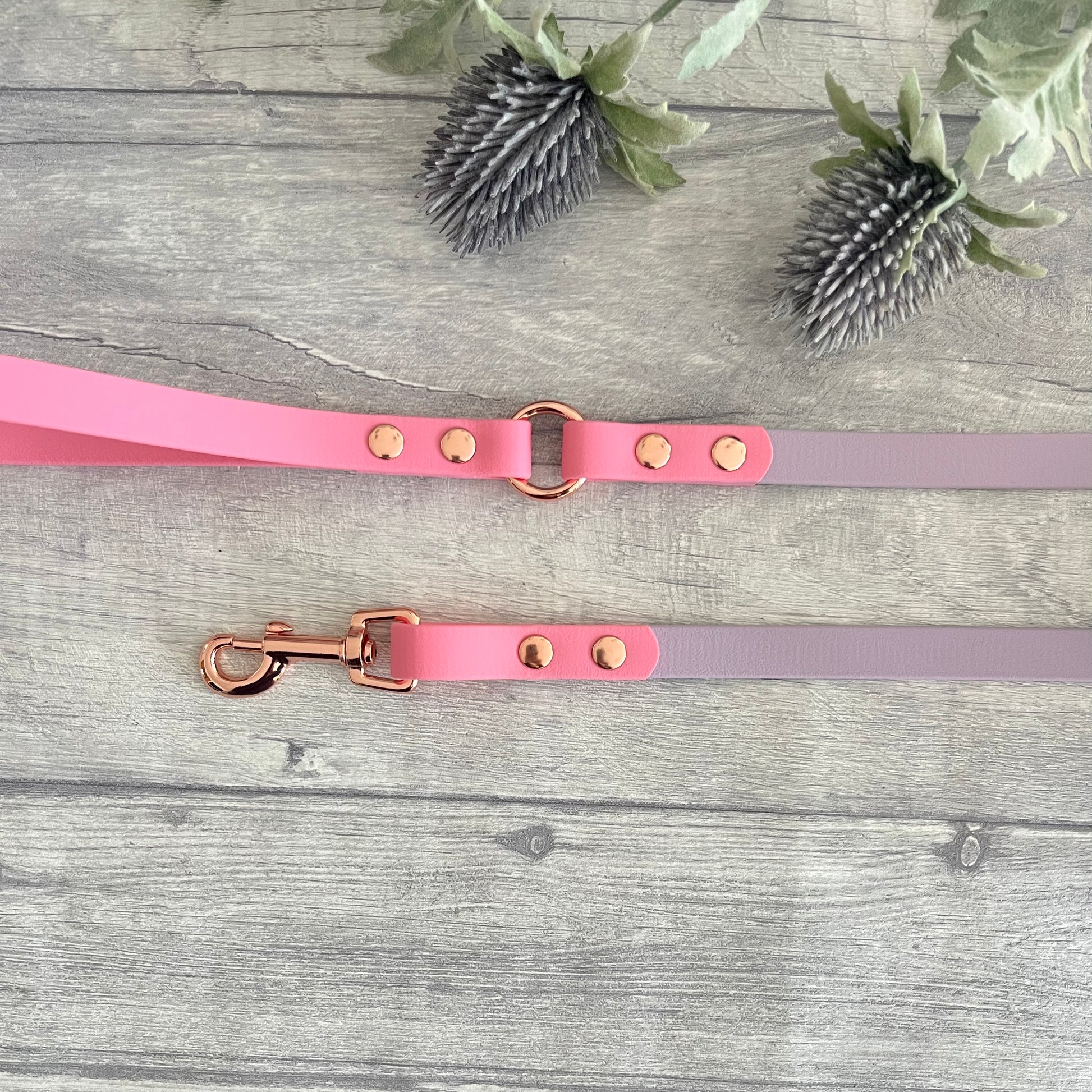 Two coloured Biothane dog lead. The handle and accent colour at the clip end of the lead is Pink, the mail lead colour is Lavender giving the lead a two tone look. The hardware is Rose Gold
