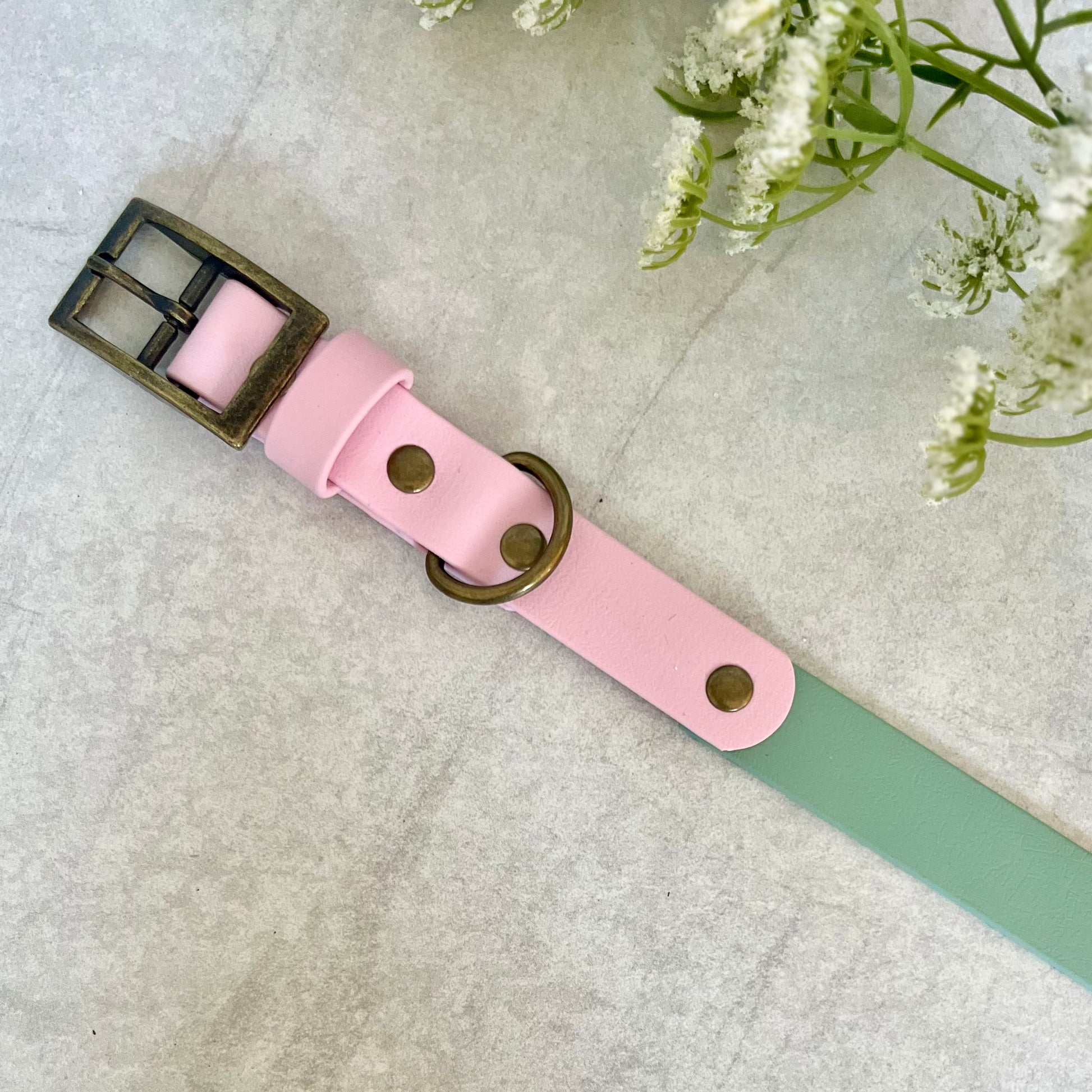 Two tone dog collar in Sage Green and Light Pink. The collar strap is two colous fixed together with a rivet. The collar has a Biothane strap keeper and a metal D-ring with 5 x punched holes. All hardware is Antique Brass