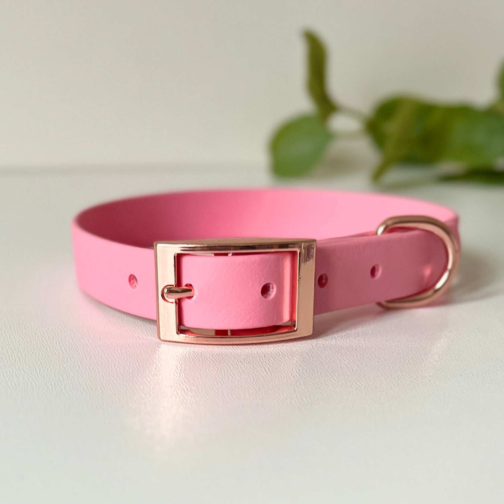 Pink dog collar with rose gold hardware on a white background with leaves in background