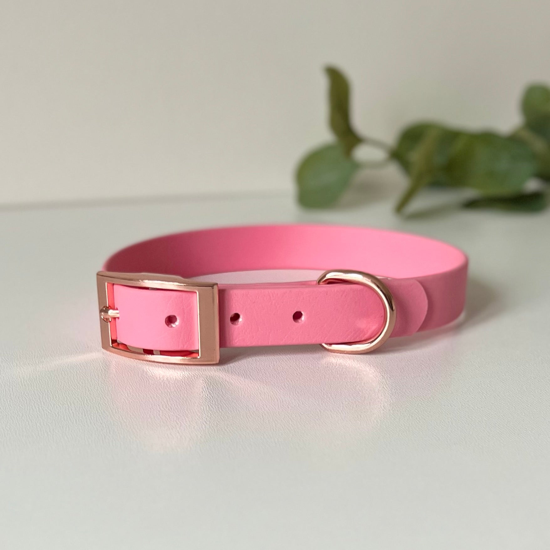 Pink dog collar with rose gold hardware on a white background with leaves in the background