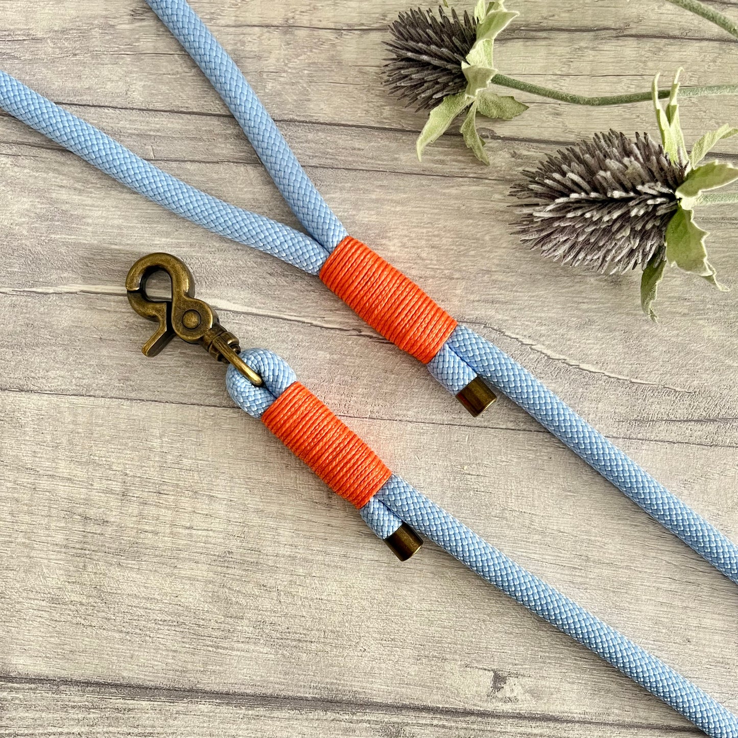 Polar Blue Paracord Rope Dog Lead