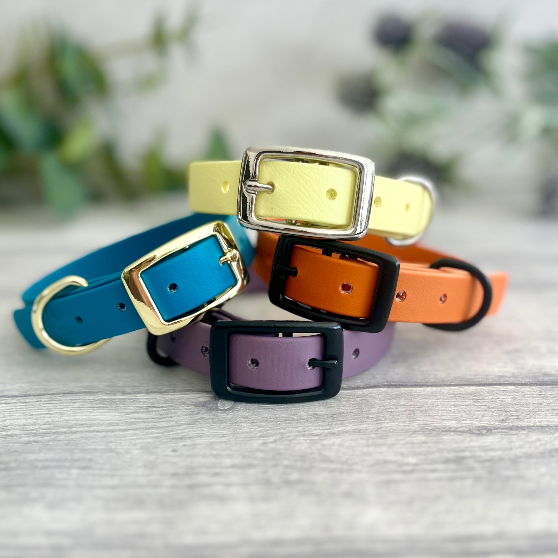 A collection of Biothane collars stacked on top of each other in a selection of colour choices. Shown in different colours of biothane and hardware, for you to design your own. All with a buckle, D-Ring. They have a soft leather appearance.