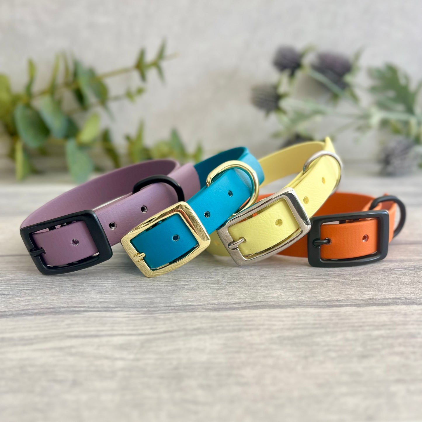 A collection of Biothane collars stacked on top of each other in a selection of colour choices. Shown in different colours of biothane and hardware, for you to design your own. All with a buckle, D-Ring. They have a soft leather appearance.