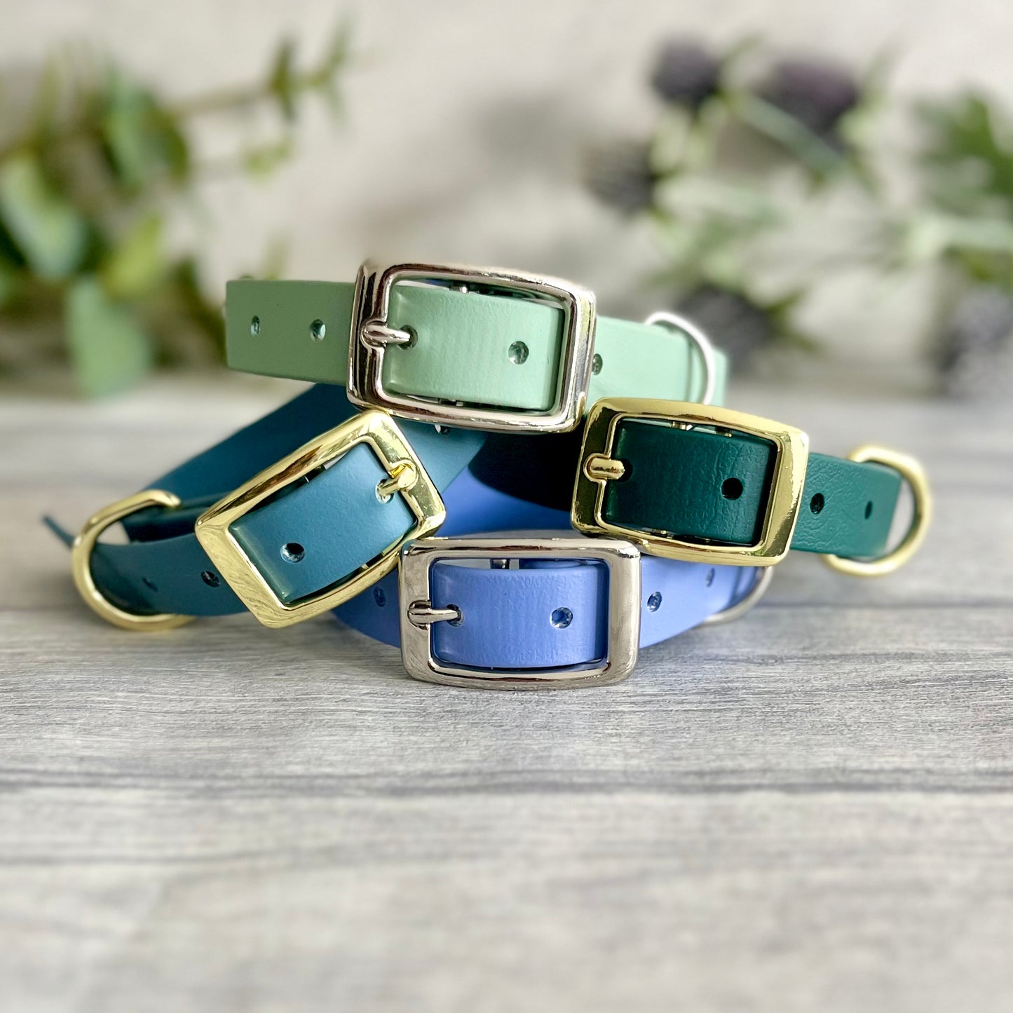 A collection of Biothane collars stacked on top of each other in a selection of colour choices. Shown in different colours of biothane and hardware, for you to design your own. All with a buckle, D-Ring. They have a soft leather appearance.