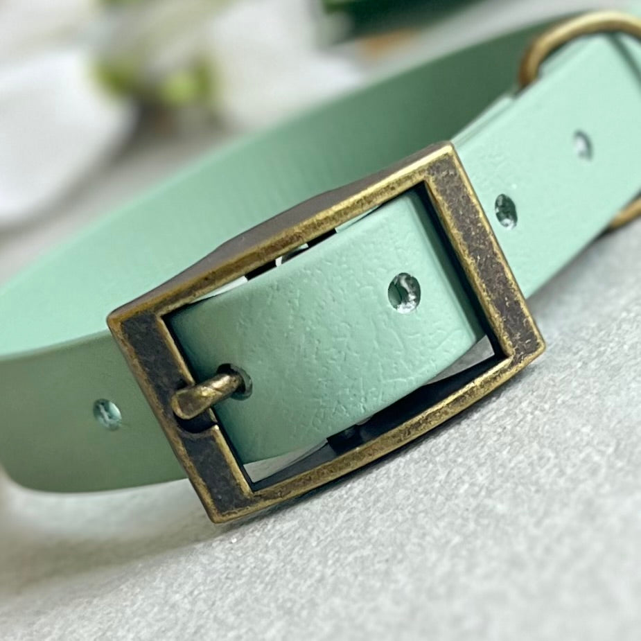 Sage green Biothane dog collar with antique brass hardware