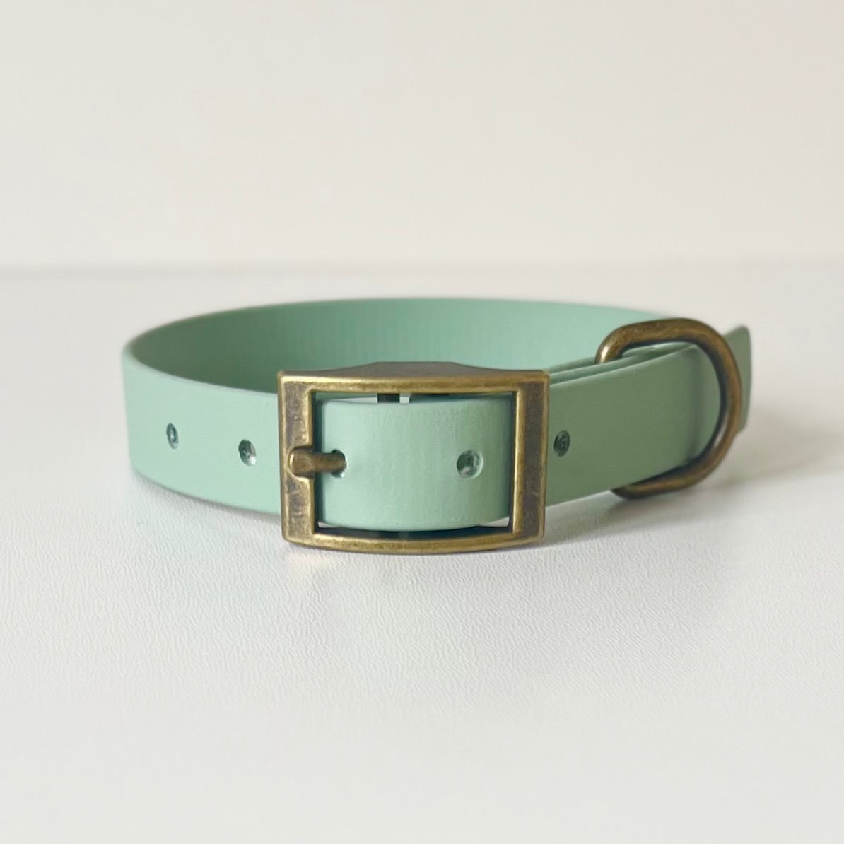 Sage green Biothane dog collar with antique brass hardware
