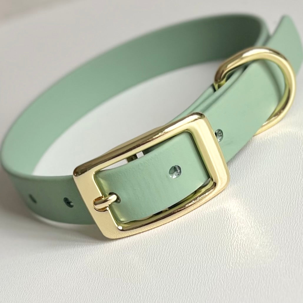 Sage green biothane dog collar with a gold buckle