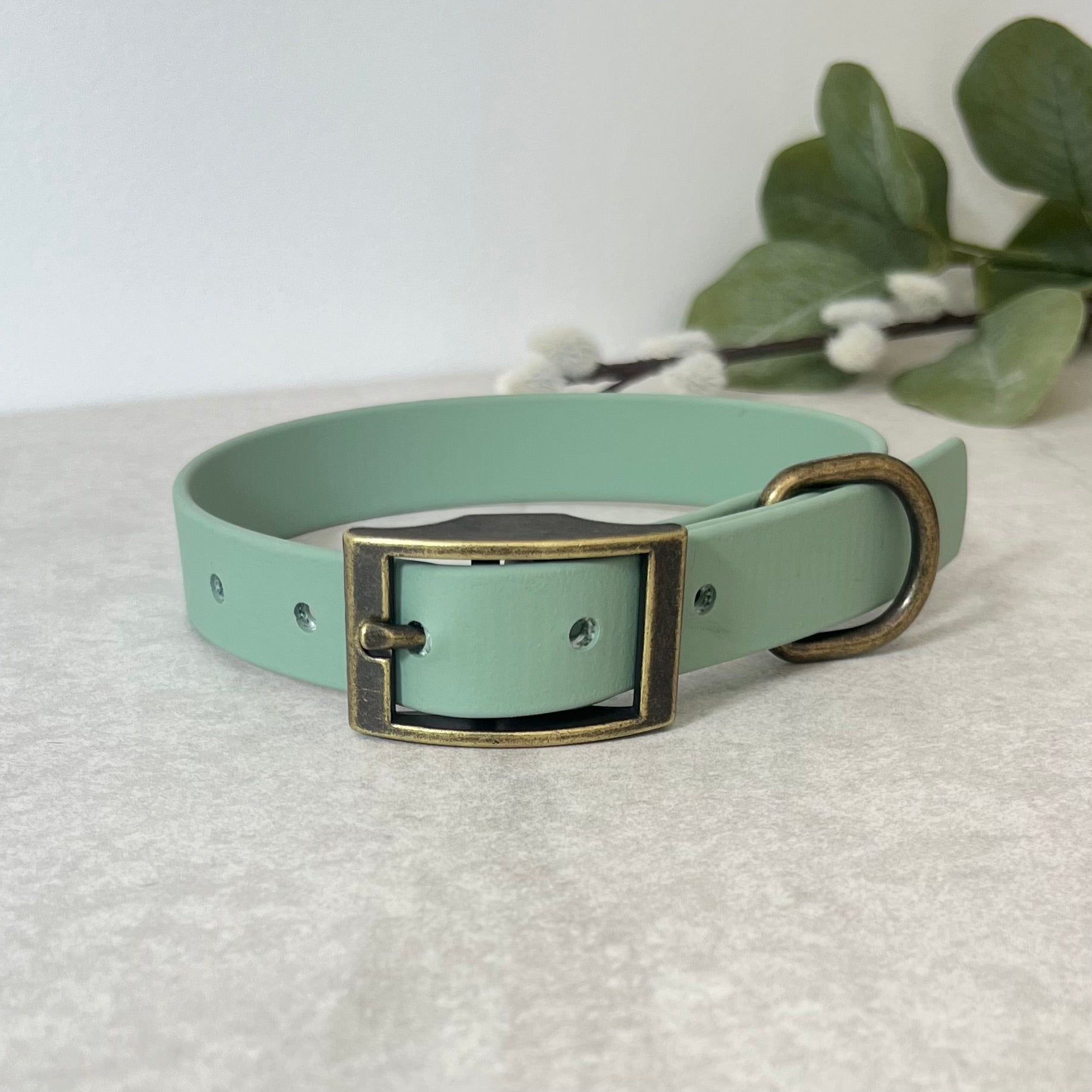 Biothane custom collar in Sage Green with Antique Brass buckle and a D-ring. The collar has 5 holes which are spaced 2cm apart. Soft leather appearance