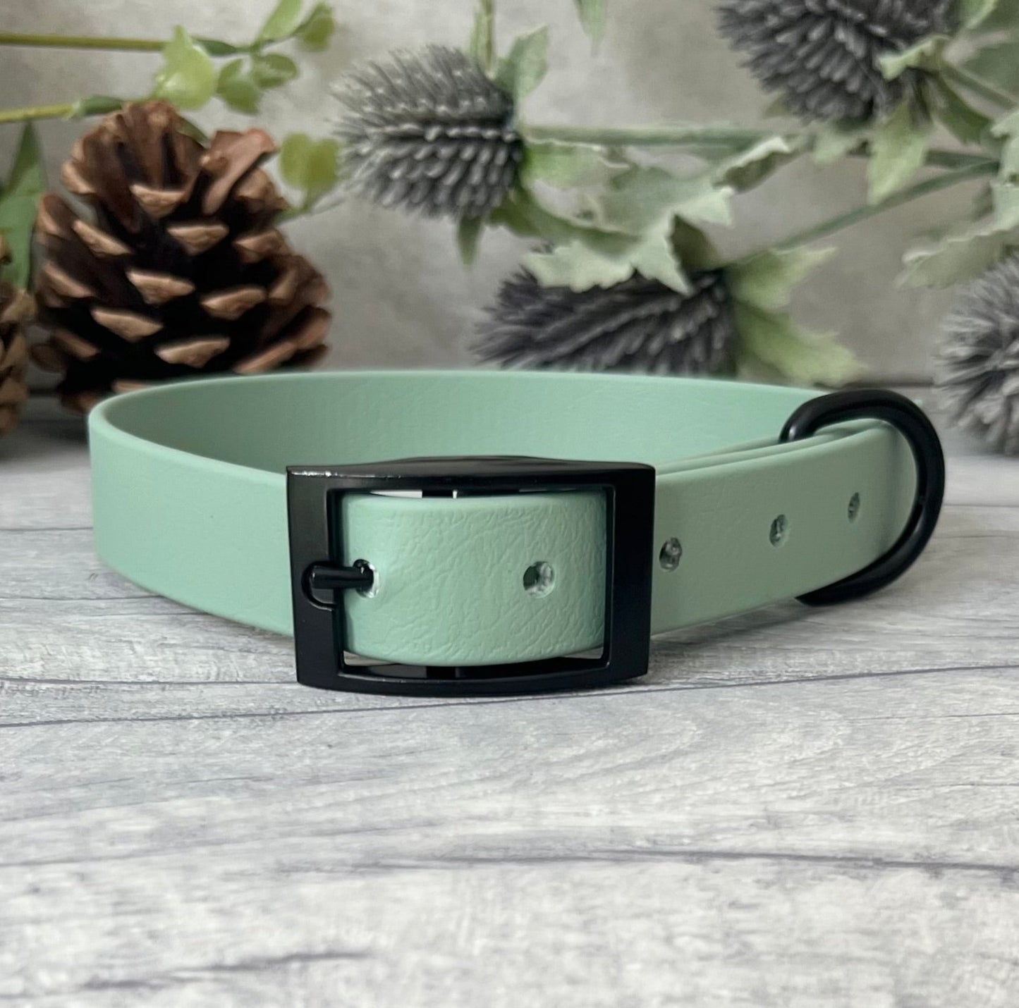 Biothane custom collar in Sage Green with Black buckle and a D-ring. The collar has 5 holes which are spaced 2cm apart. Soft leather appearance