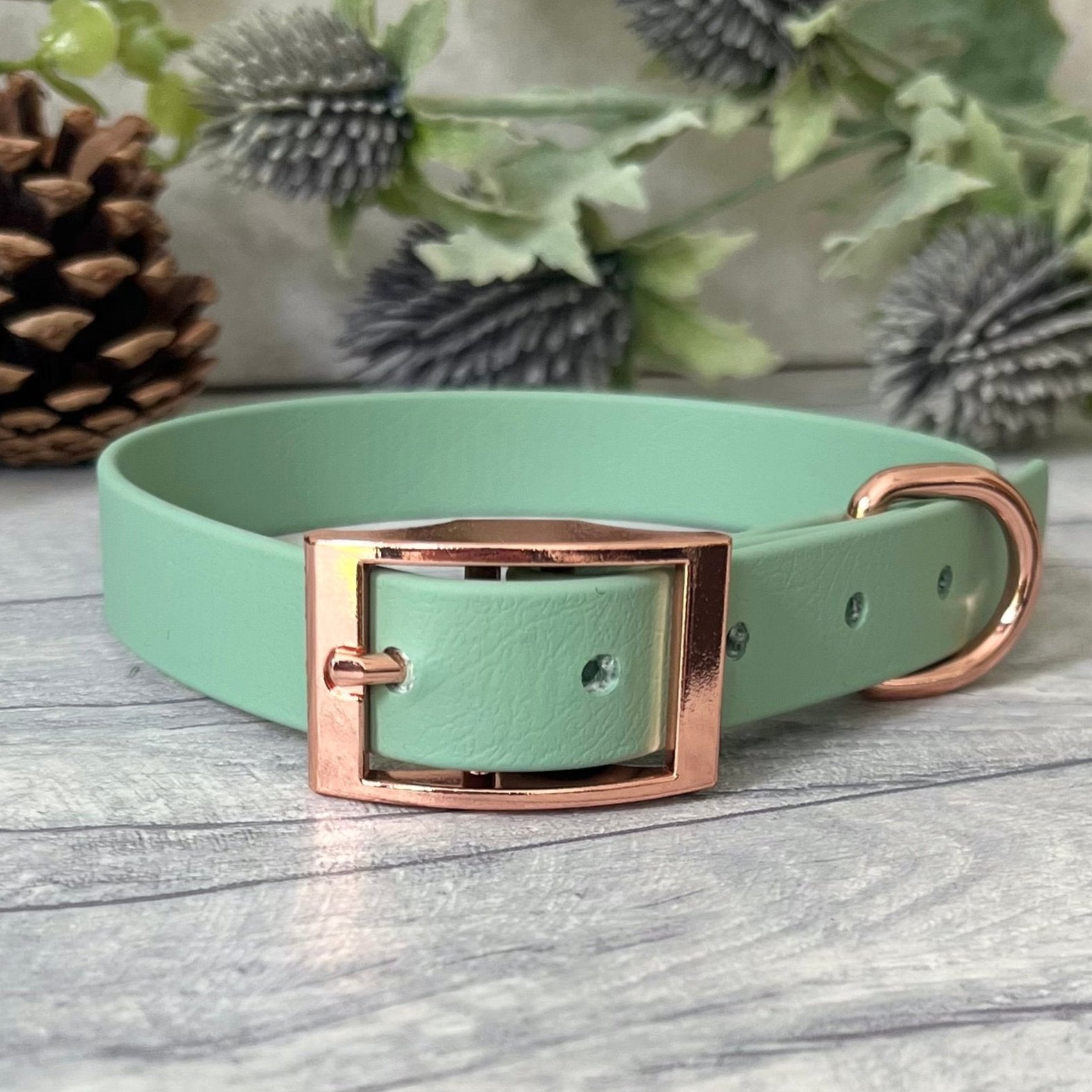 Biothane custom collar in Sage Green with Rose Gold buckle and a D-ring. The collar has 5 holes which are spaced 2cm apart. Soft leather appearance