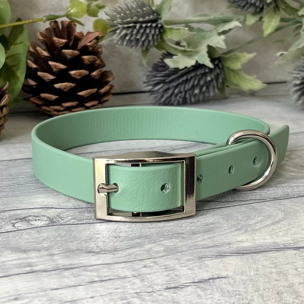 Biothane custom collar in Sage Green with Silver buckle and a D-ring. The collar has 5 holes which are spaced 2cm apart. Soft leather appearance