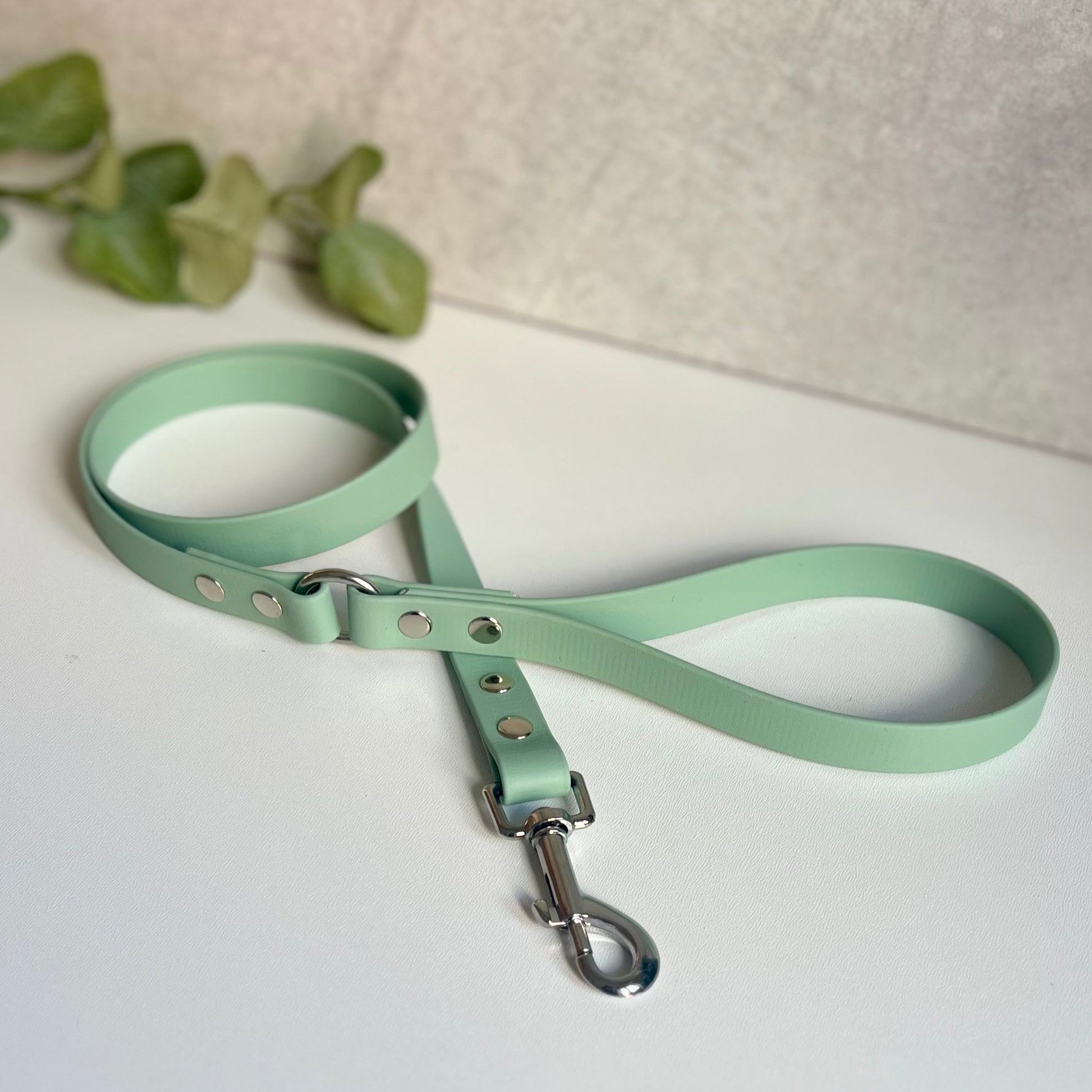 Sage green dog leash with silver hardware on a white surface with green leaves in the corner.