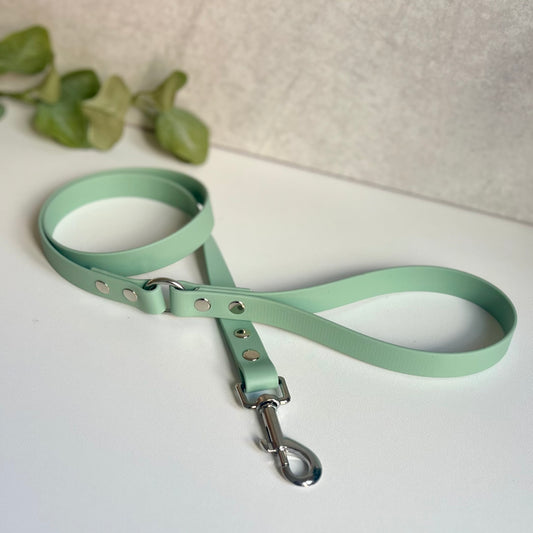Sage green dog leash with silver hardware on a white surface with green leaves in the corner.