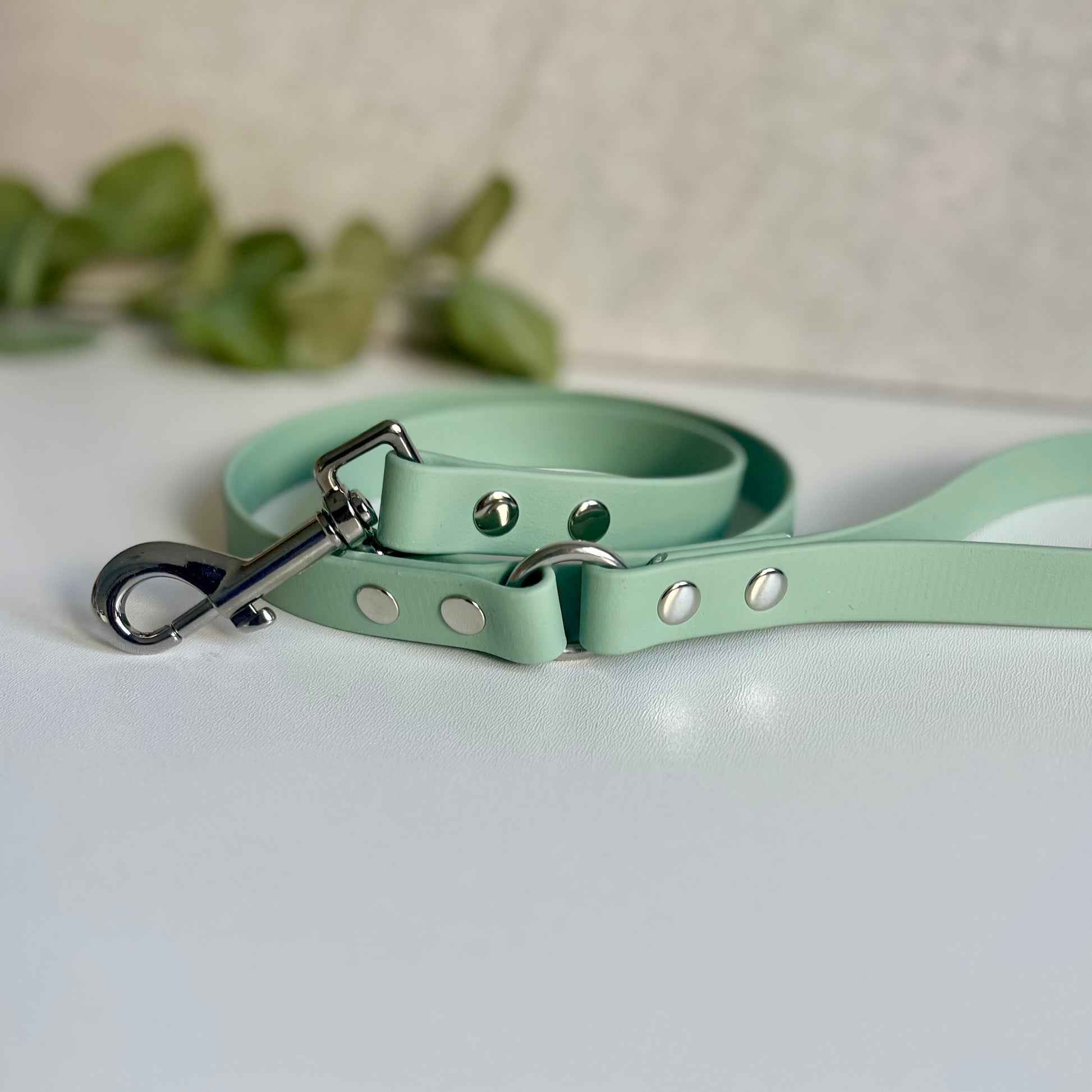 Sage green dog leash with silver hardware on a white surface with green leaves in the corner.