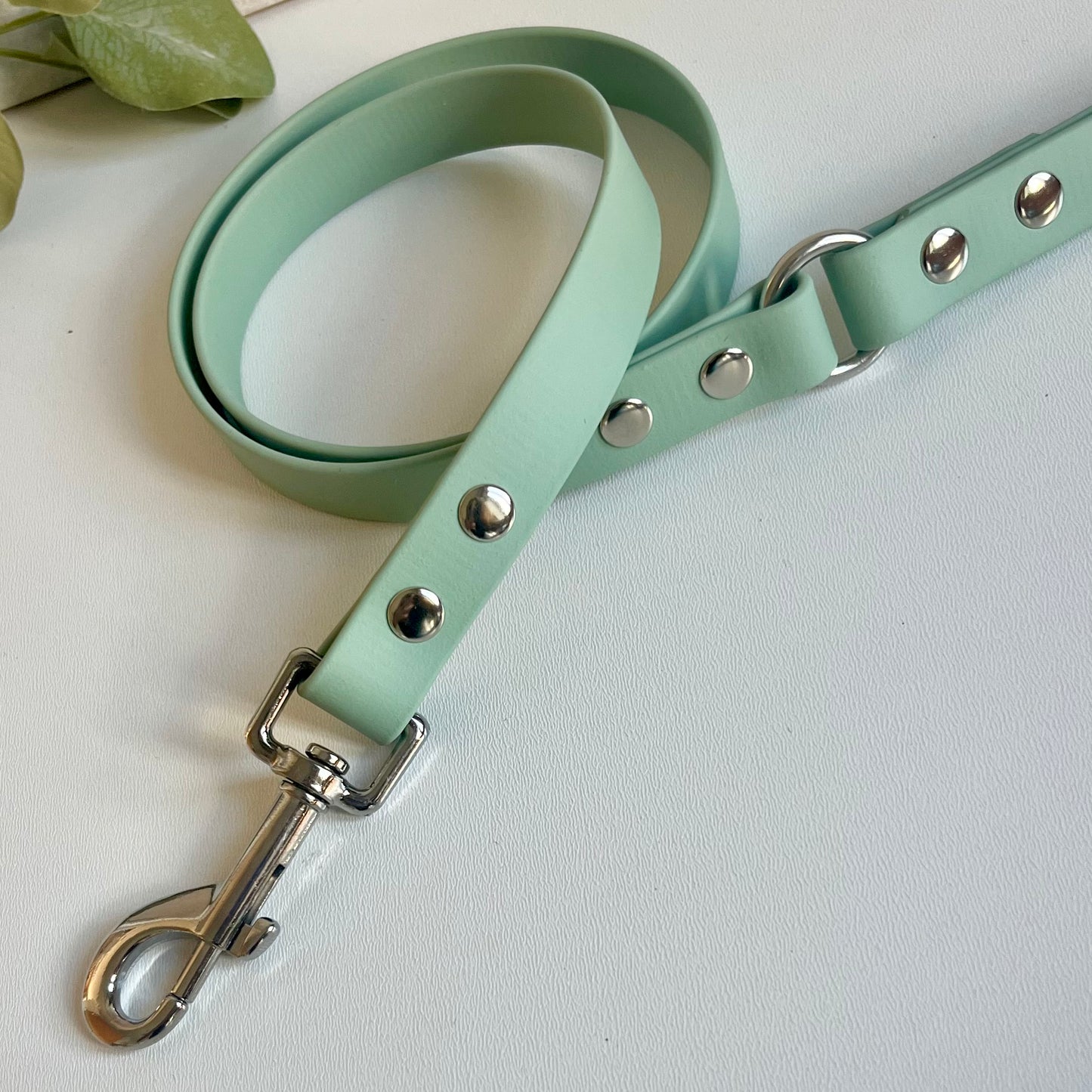 Sage green dog leash with silver hardware on a white surface with green leaves in the corner.