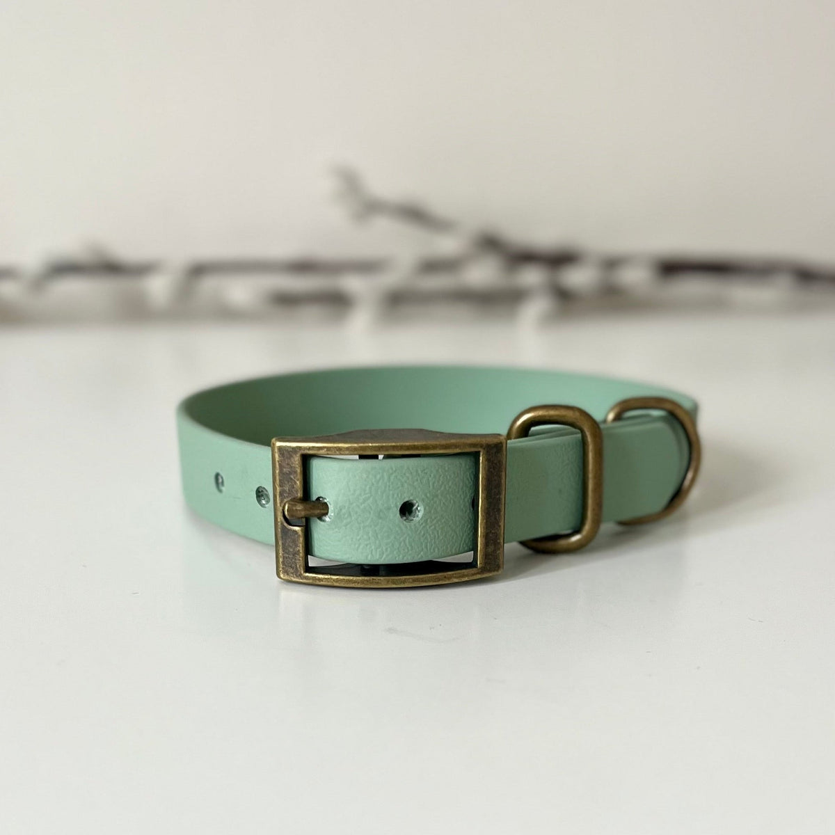 A sage green dog collar with antique brass hardware sitting on a white surface