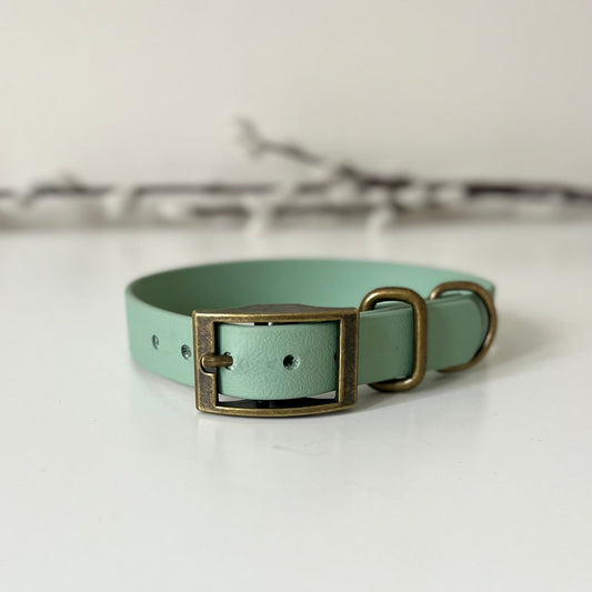 A sage green dog collar with antique brass hardware sitting on a white surface