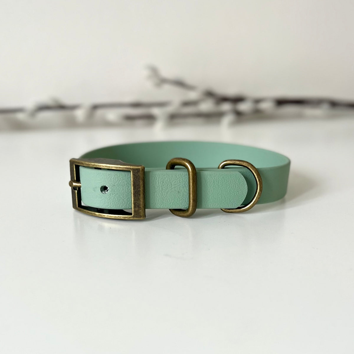 A sage green dog collar with antique brass hardware sitting on a white surface
