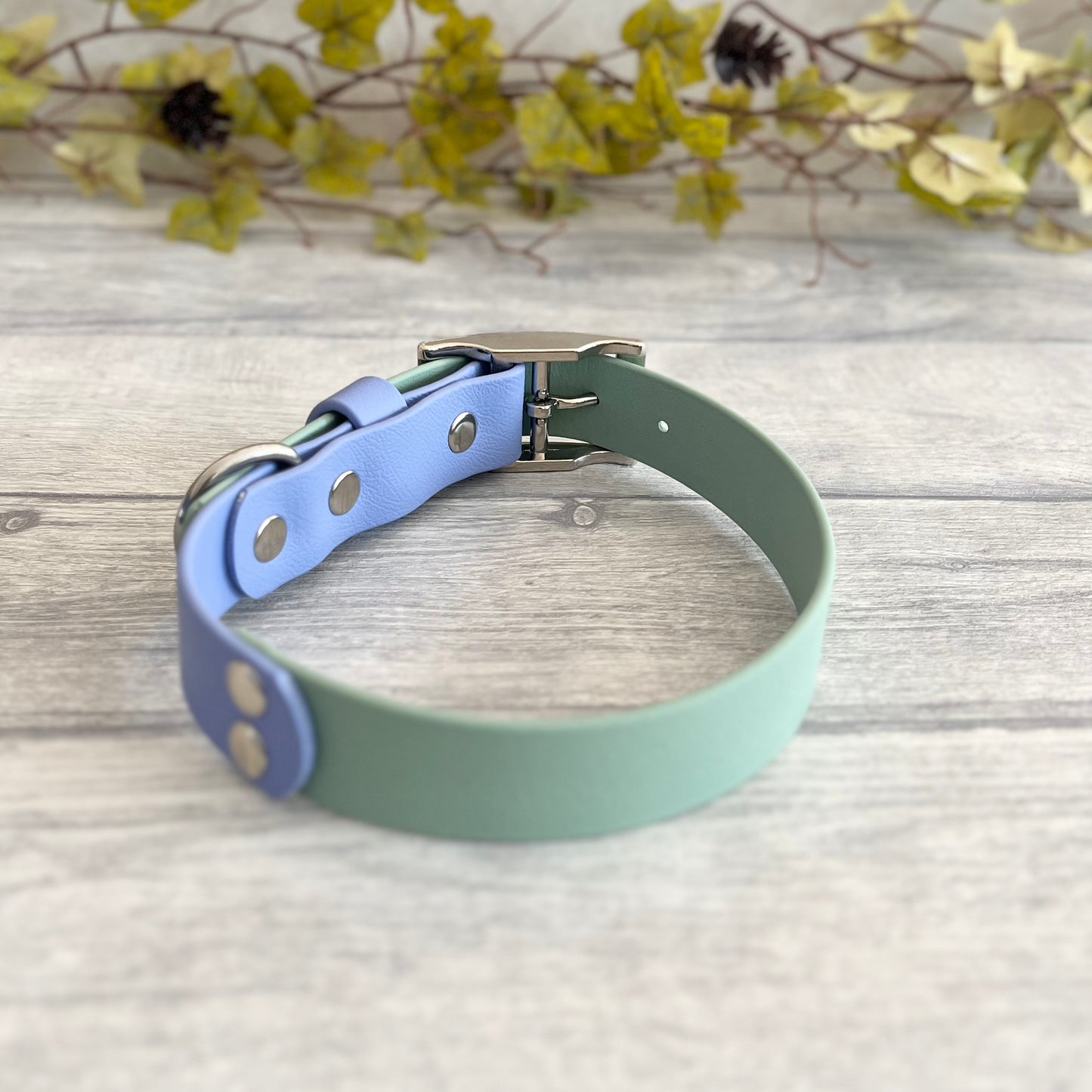 Two tone dog collar in Sage Green and Periwinkle. The collar strap is two colous fixed together with a rivet. The collar has a Biothane strap keeper and a metal D-ring with 5 x punched holes. All hardware is Silver