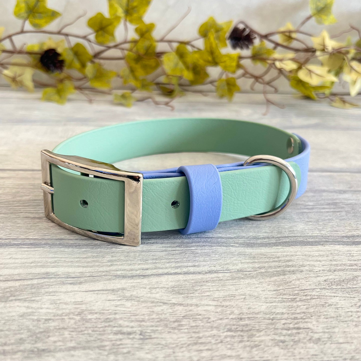 Two tone dog collar in Sage Green and Periwinkle. The collar strap is two colous fixed together with a rivet. The collar has a Biothane strap keeper and a metal D-ring with 5 x punched holes. All hardware is Silver