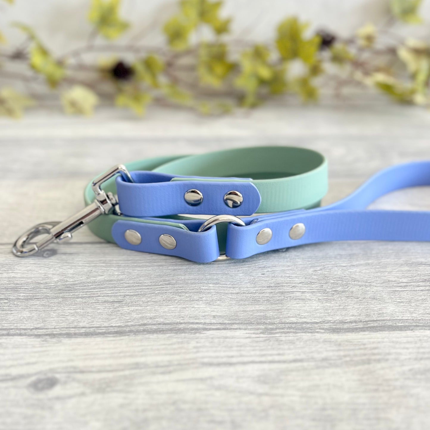 Sage Green & Periwinkle Two Tone BioThane® Dog Lead