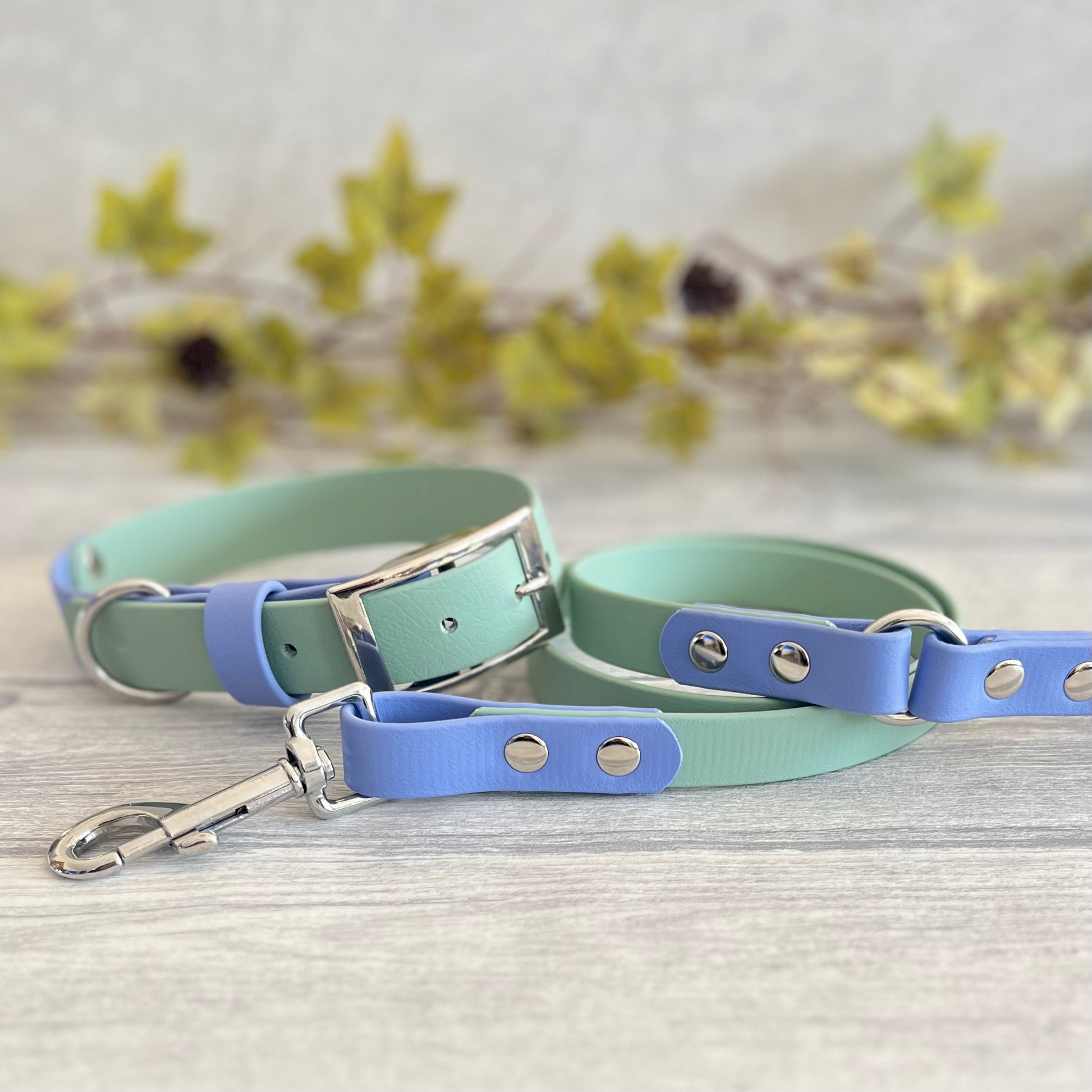 A two tone dog collar and matching lead. The main colour of both is sage Green with the accent colour of Periwinkle purple