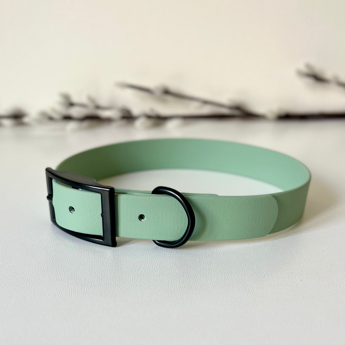 Sage Green BioThane® Dog Collar - Large