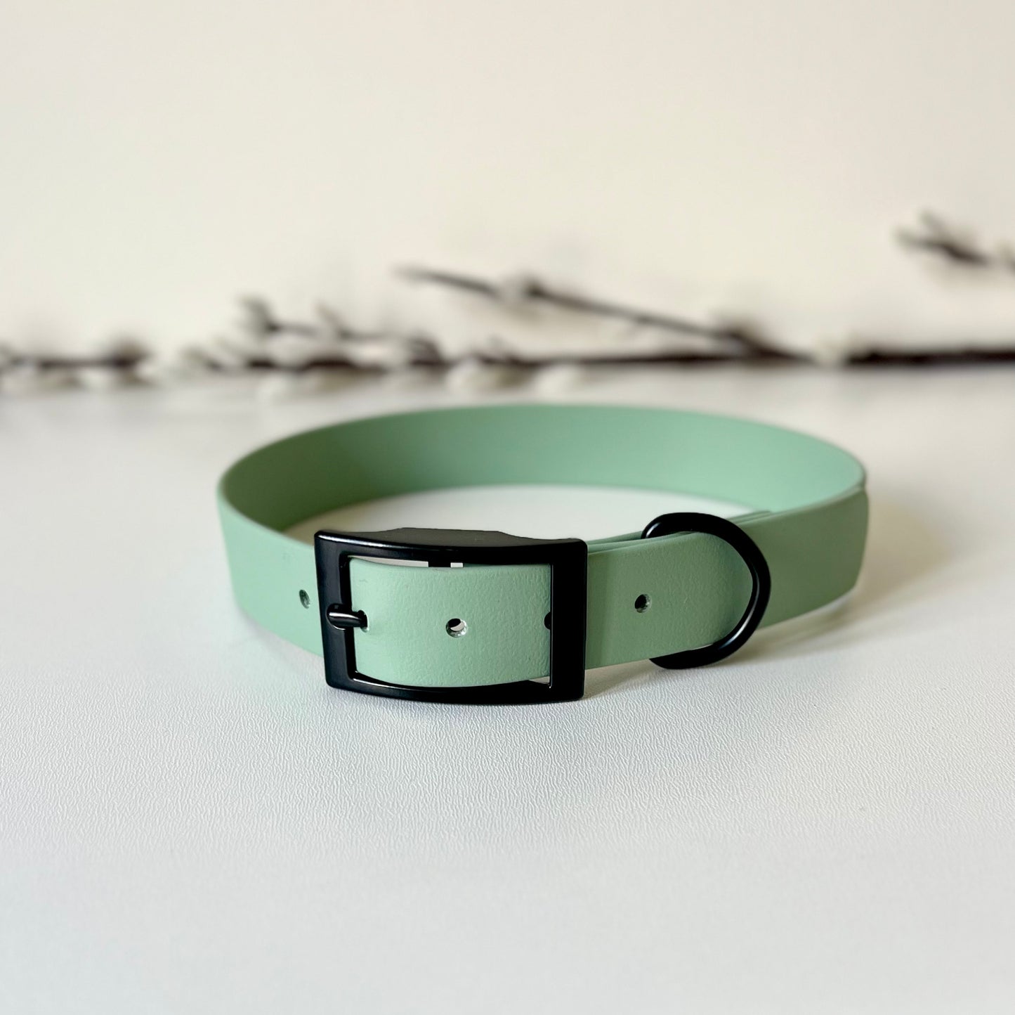 Sage Green BioThane® Dog Collar - Large