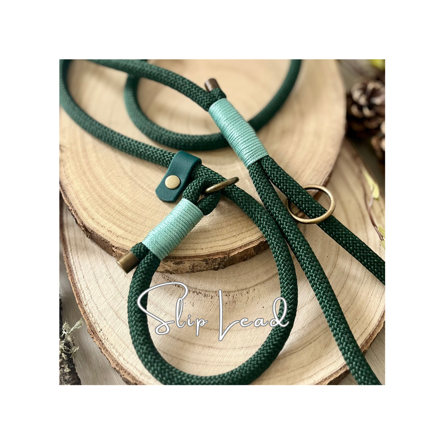 Sea Green Paracord Rope Dog Lead