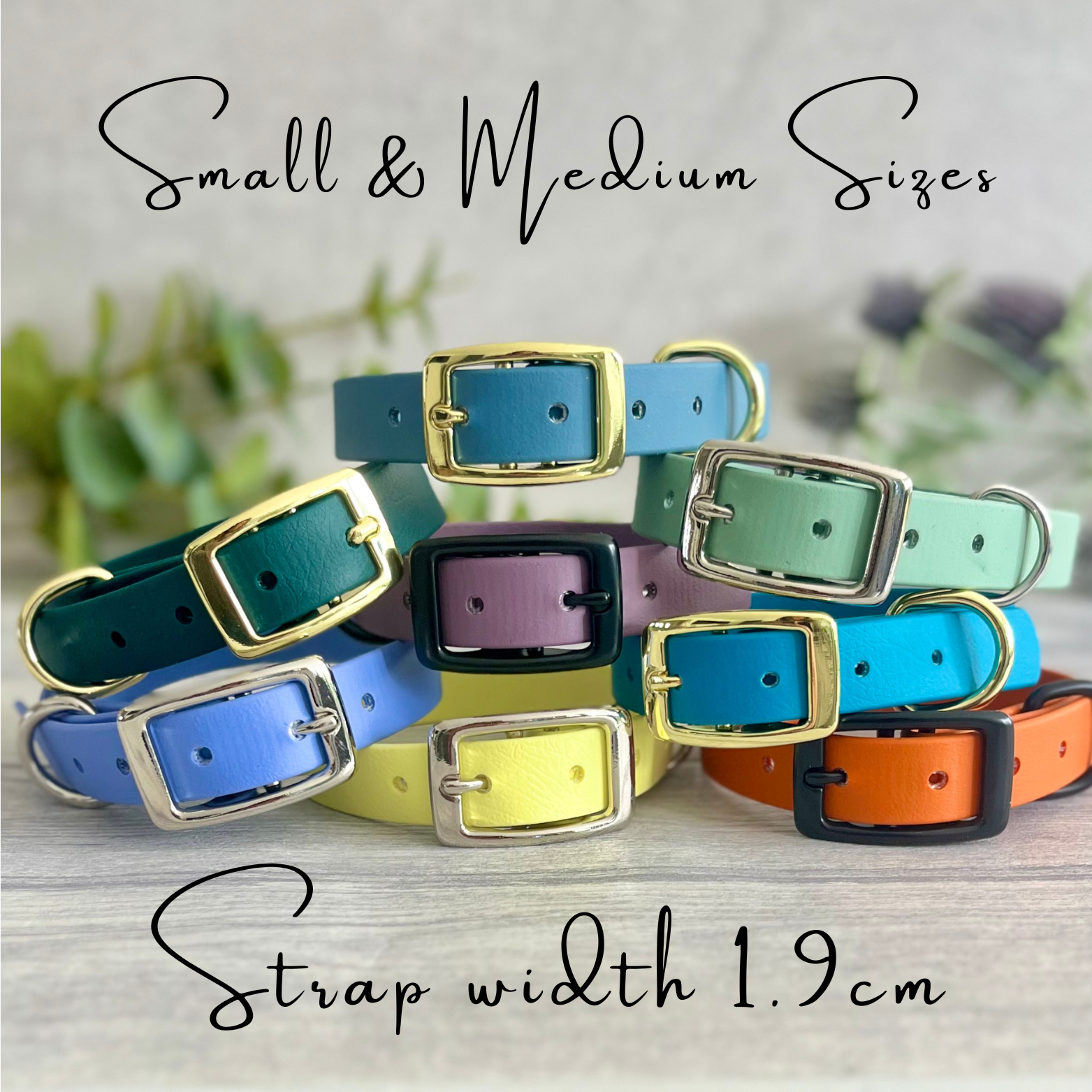 A collection of Biothane collars stacked on top of each other in a selection of colour choices. Shown in different colours of biothane and hardware, for you to design your own. All with a buckle, D-Ring. They have a soft leather appearance.