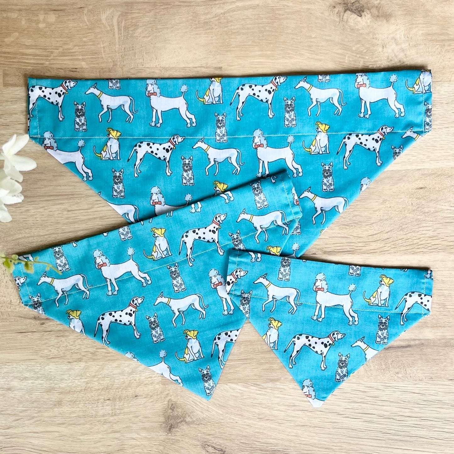 Posh Dogs Slide on Bandanas